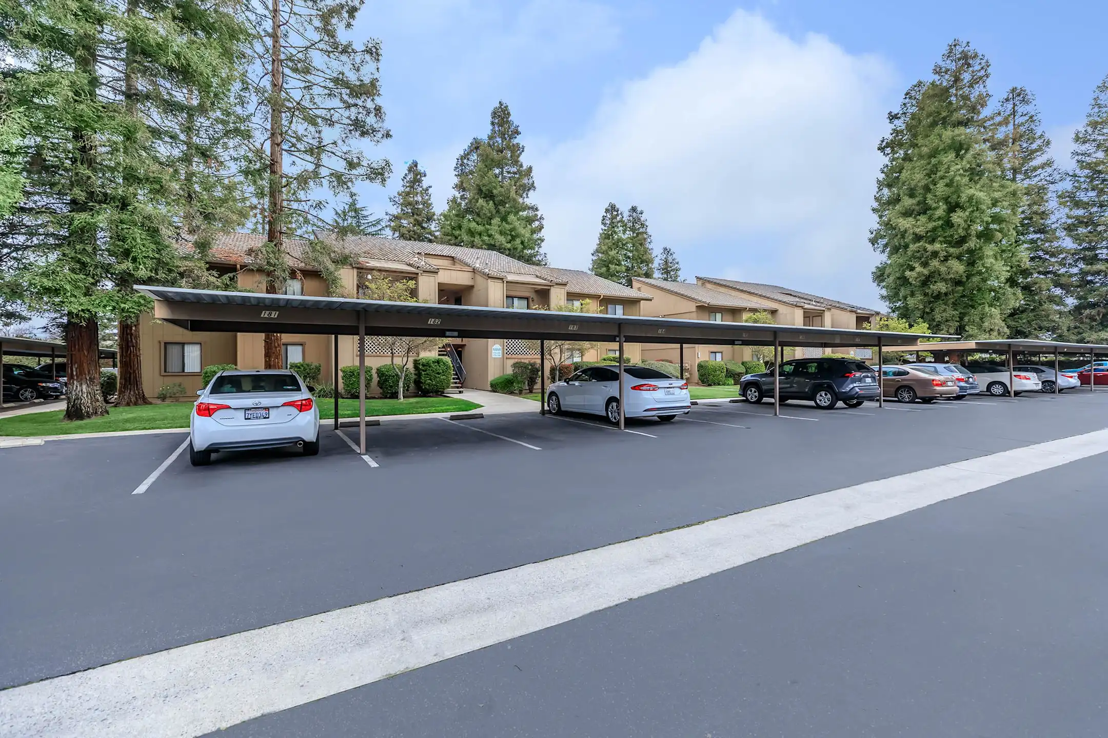 Pine Tree Village 6800 N Maple Ave Fresno, CA Apartments for Rent