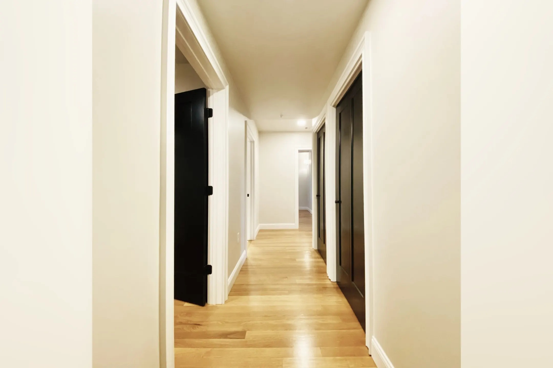 44 James - Albany, NY