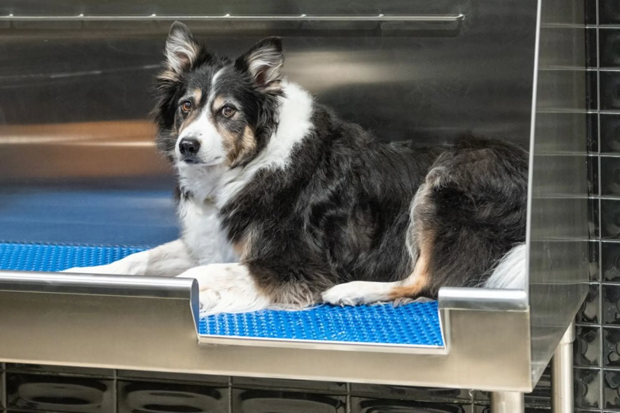 Ava RiNo 2600 Lawrence Street Denver, CO Apartments for Rent Rent.