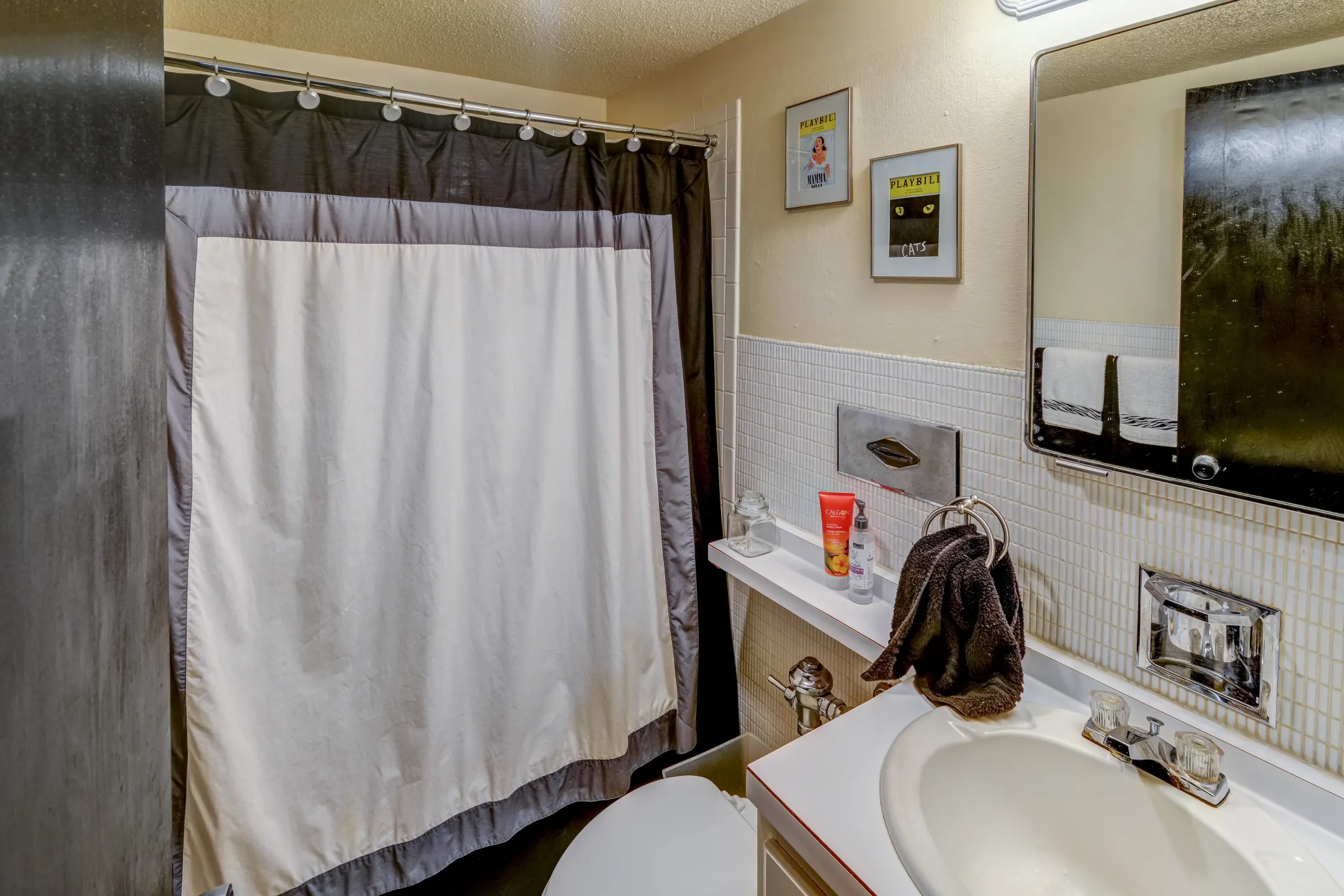 Bathroom - Jackson Arms - Saint Louis, MO