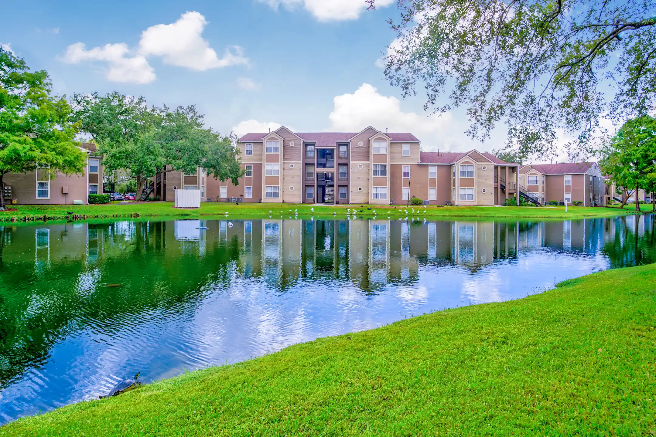Lake - Cricket Club - Orlando, FL