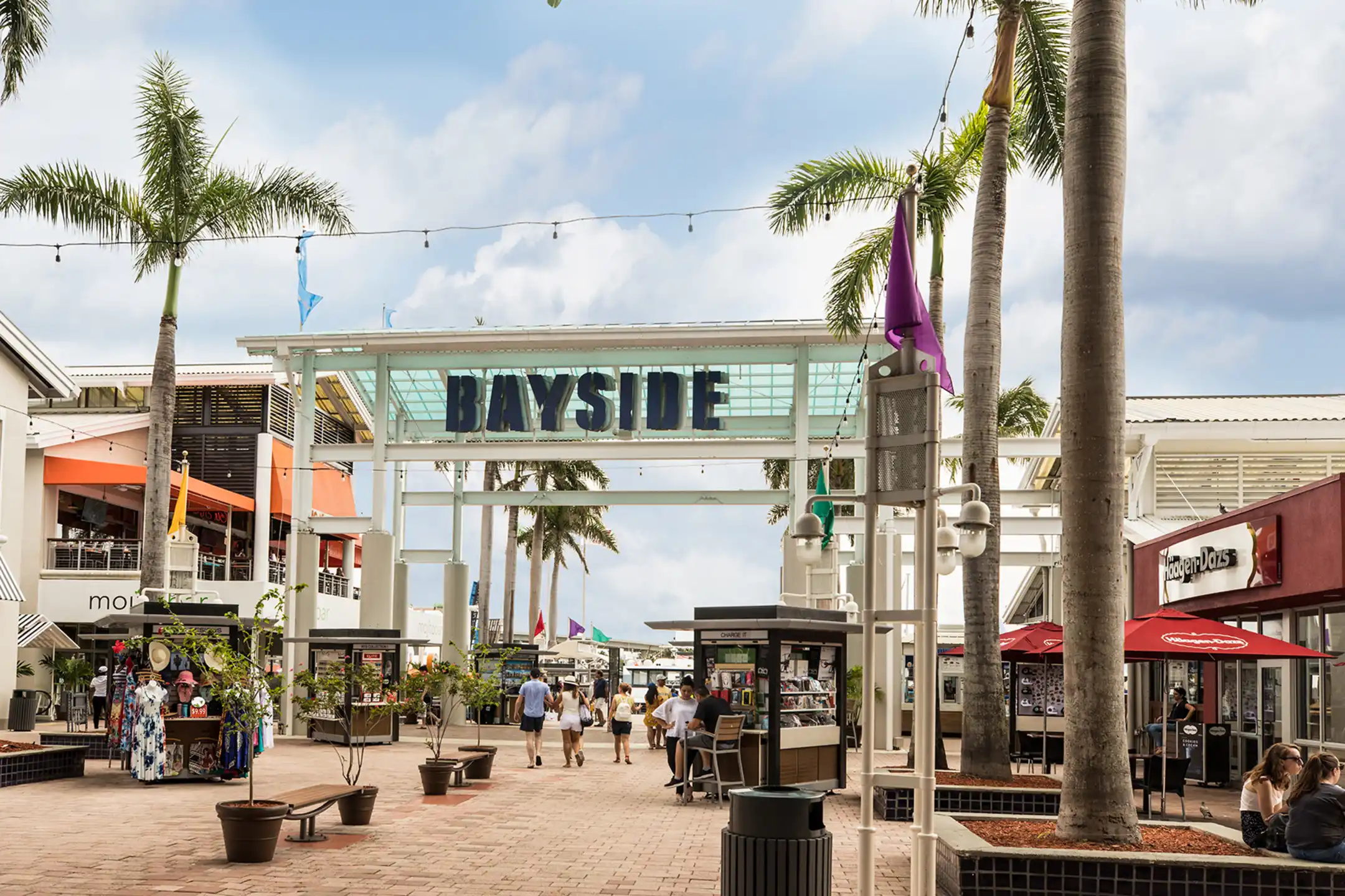 Bay Parc 1756 N Bayshore Dr Miami, FL Apartments for Rent Rent.