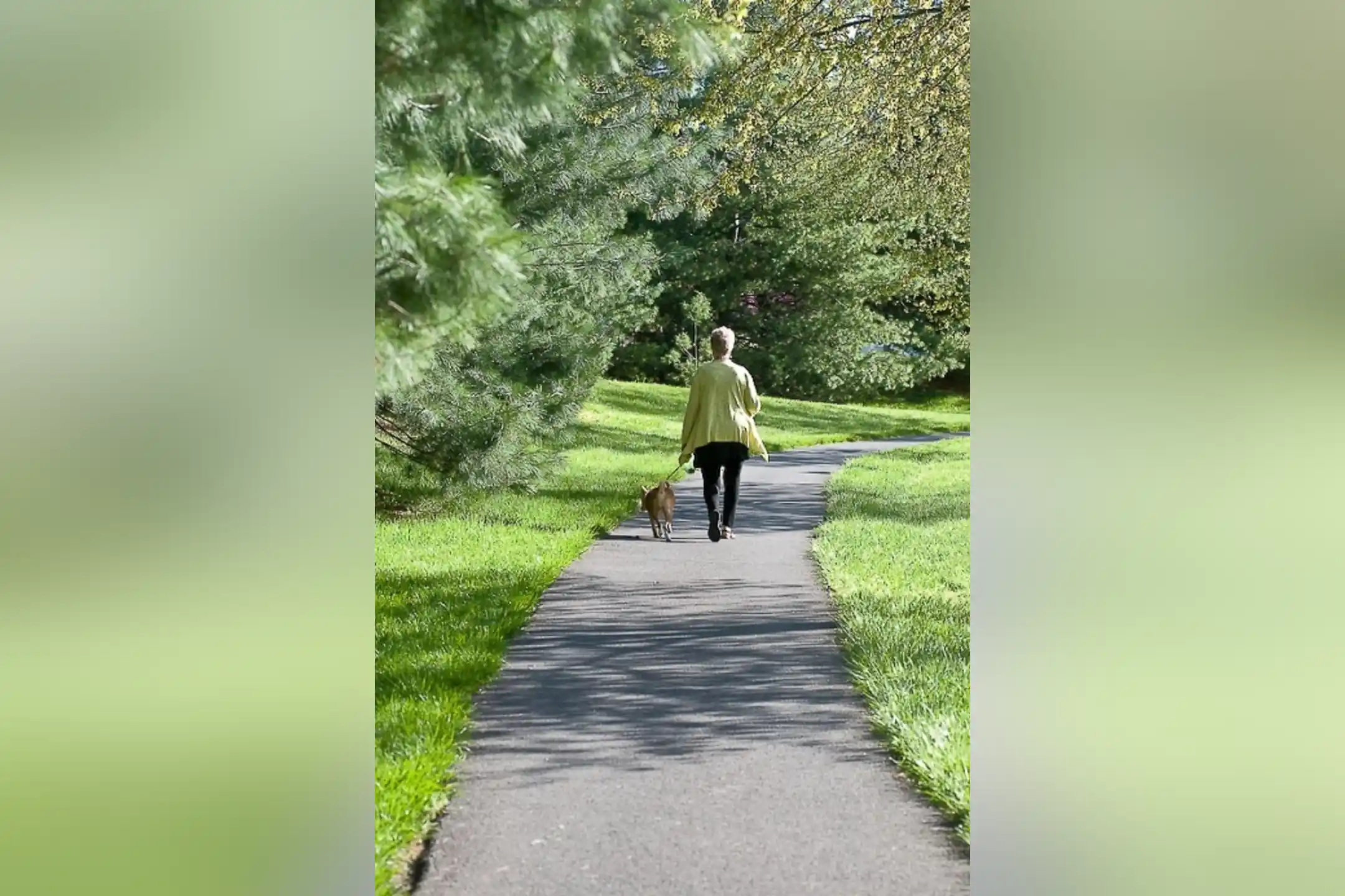 Spring Ridge Apartments Frederick, MD 21701