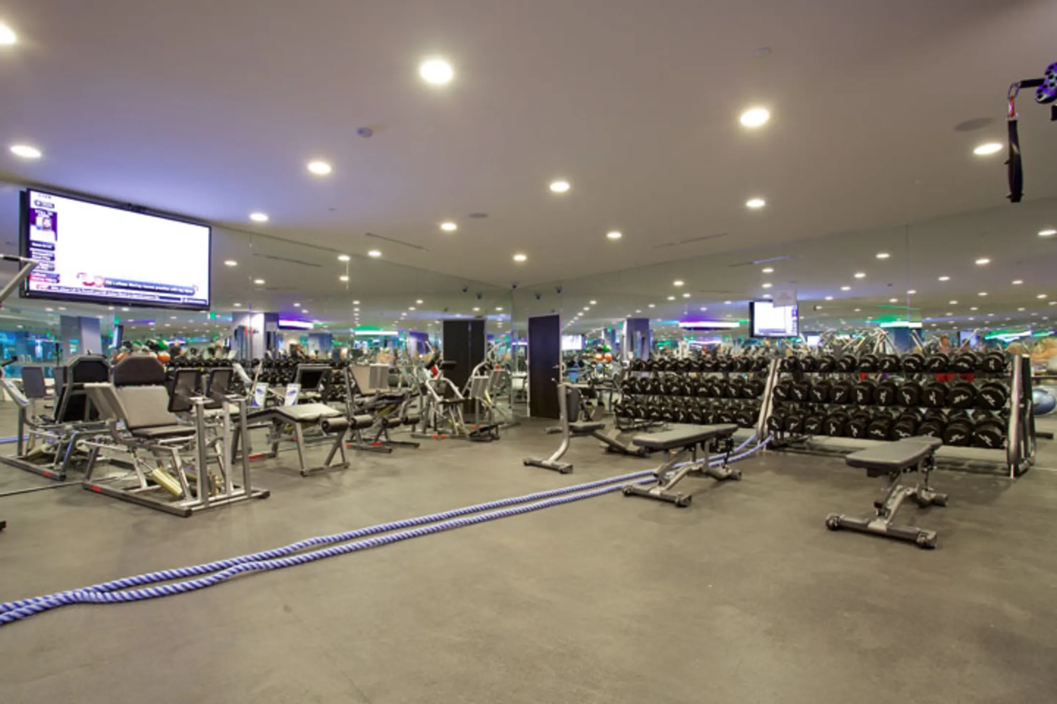 Fitness Weight Room - Torrey Gardens - San Diego, CA