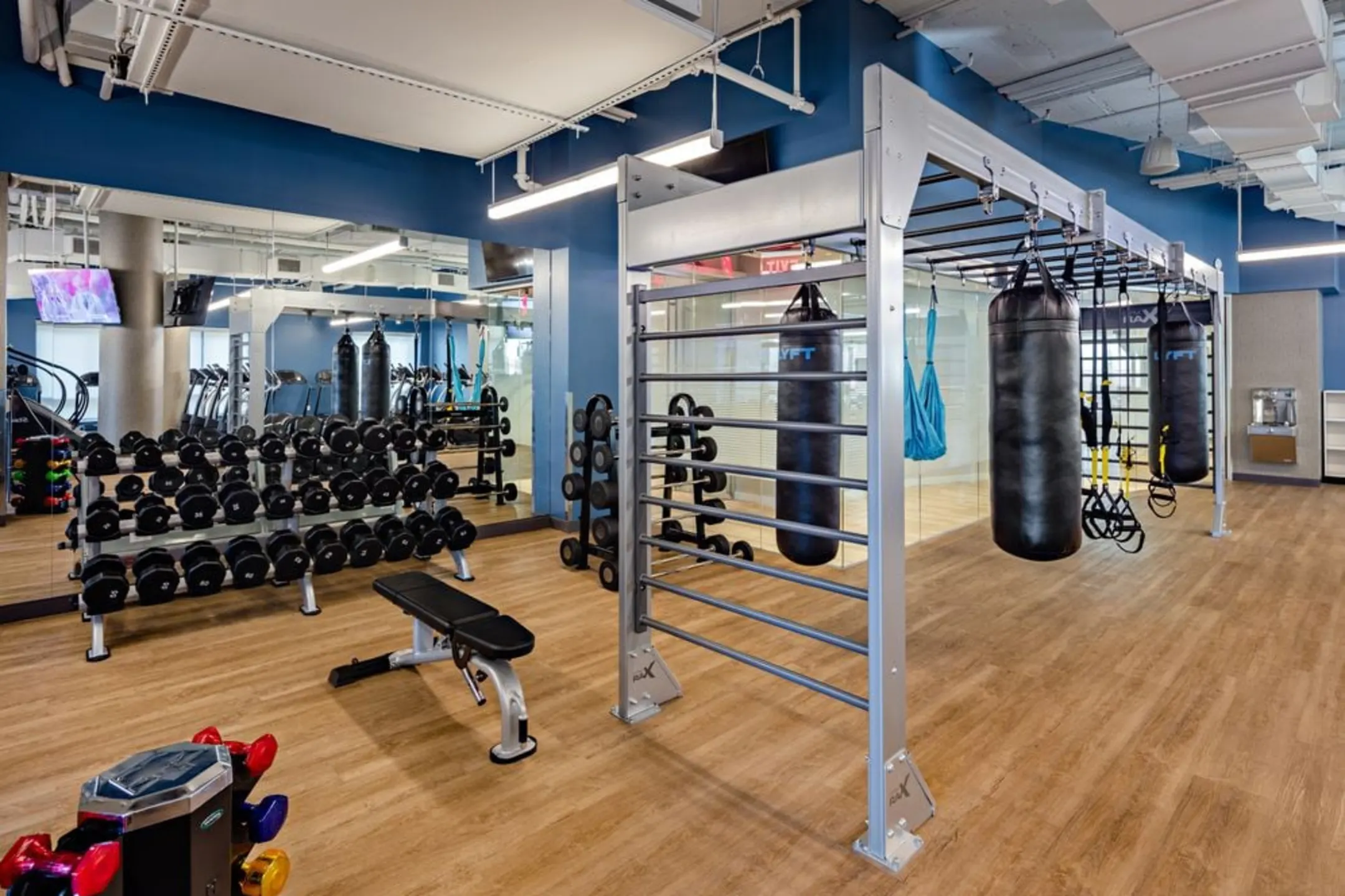 Fitness Weight Room - Avalon Riverview - Long Island City, NY