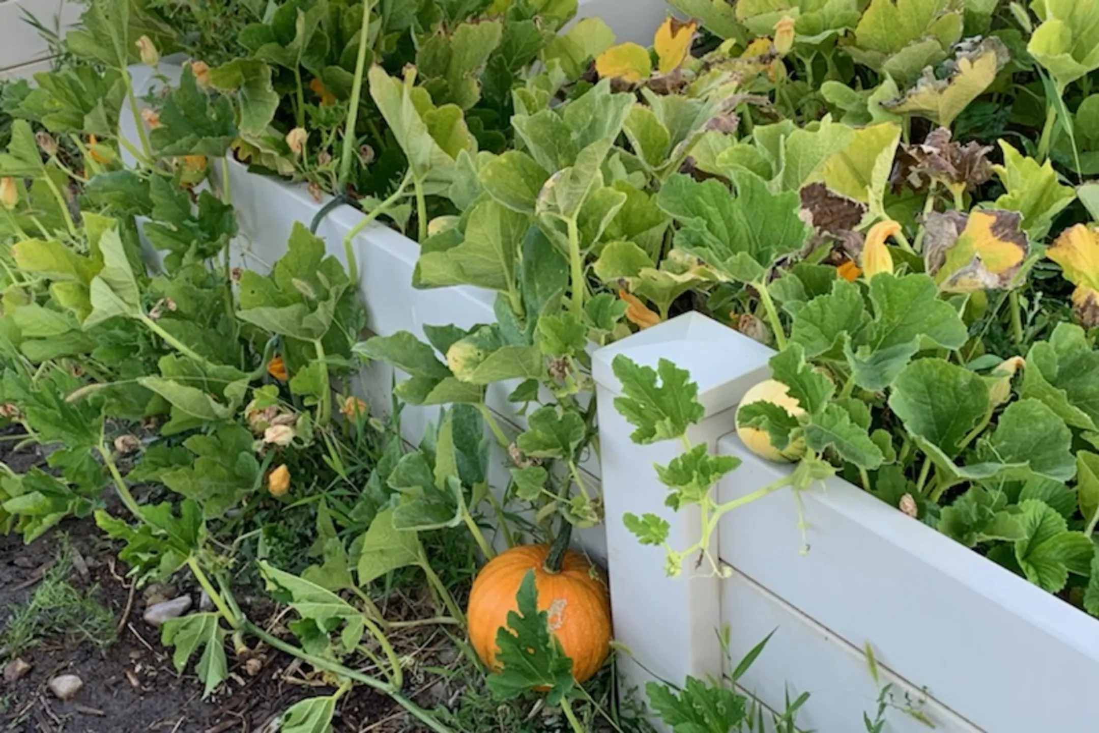 Eastgate Apartments Apartments Price, UT 84501