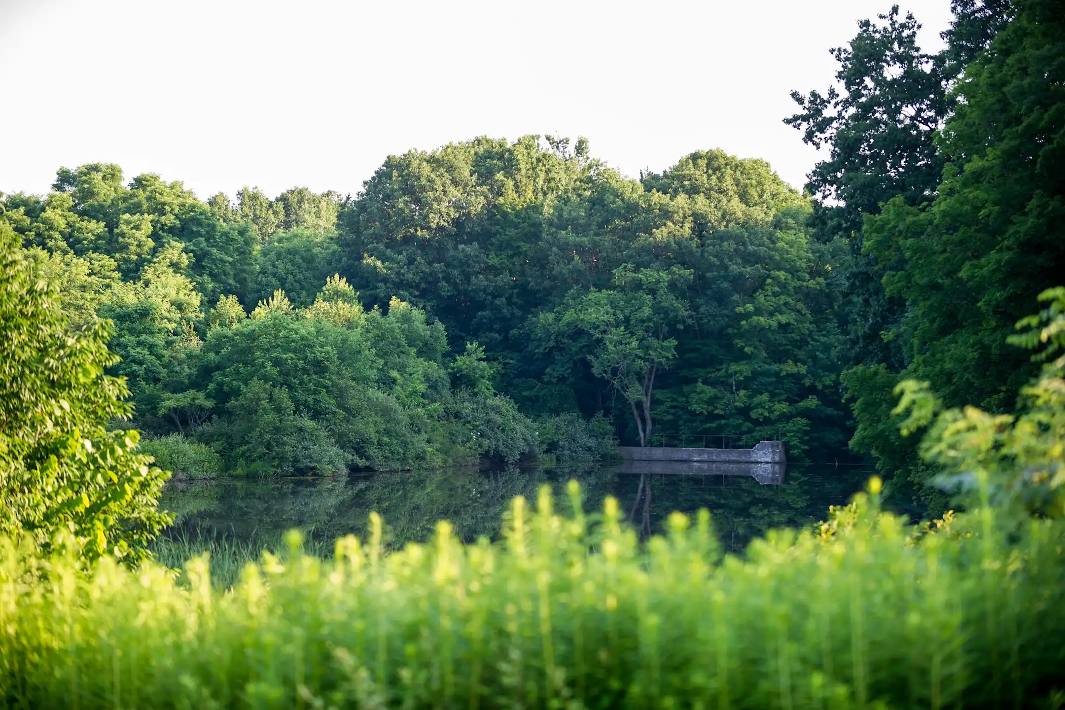 The Spinney At Pond View 2500 Pond View Castleton On Hudson, NY