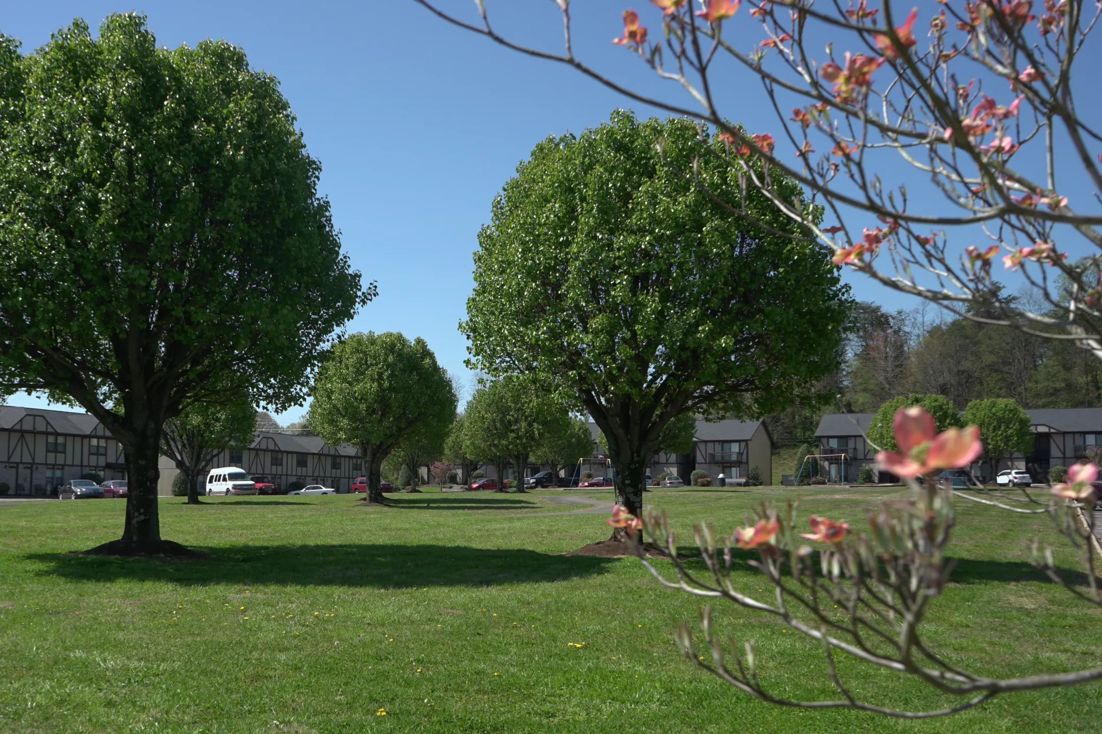 Carriage Trace Apartments Apartments Clinton, TN 37716