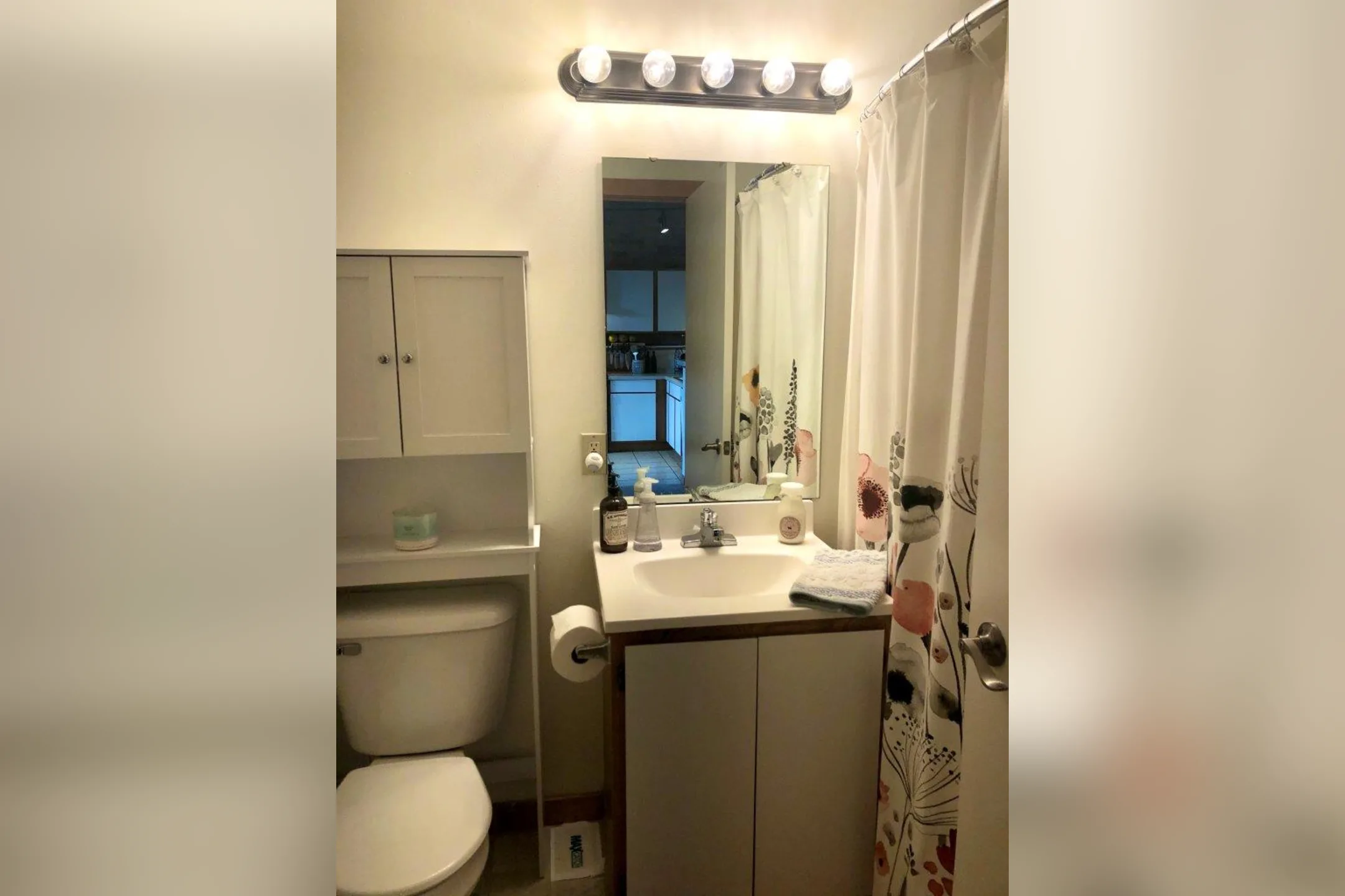 Bathroom - Historic Fifth Ward Lofts - Milwaukee, WI