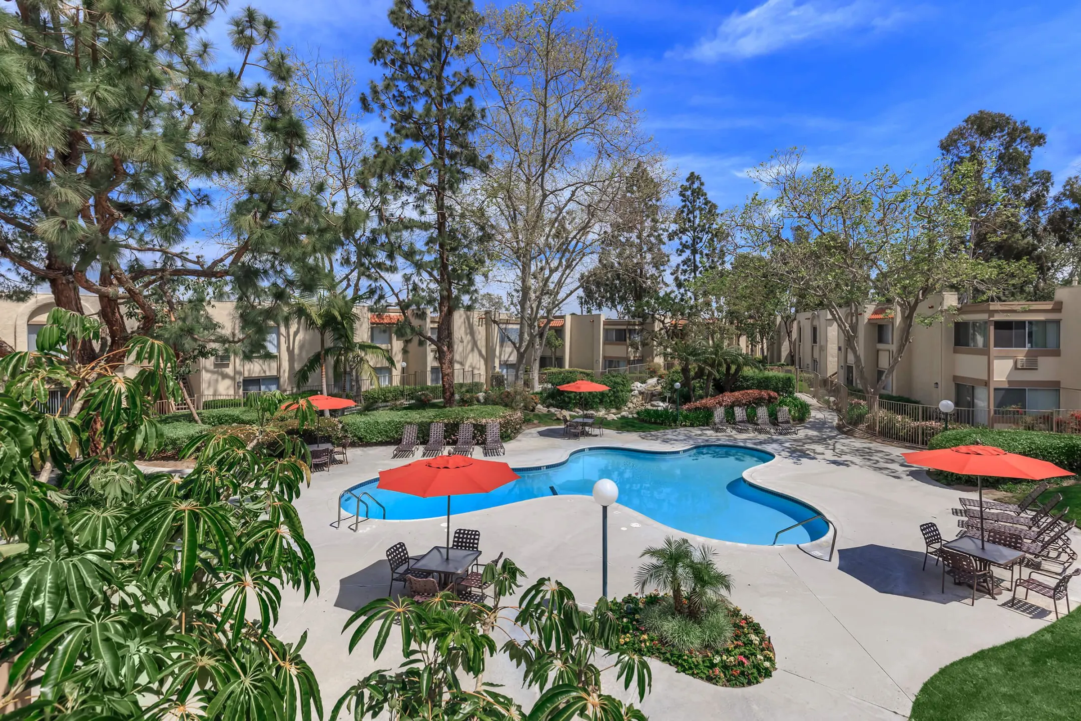 Pool - Pacific Woods Apartment Homes - Santa Ana, CA