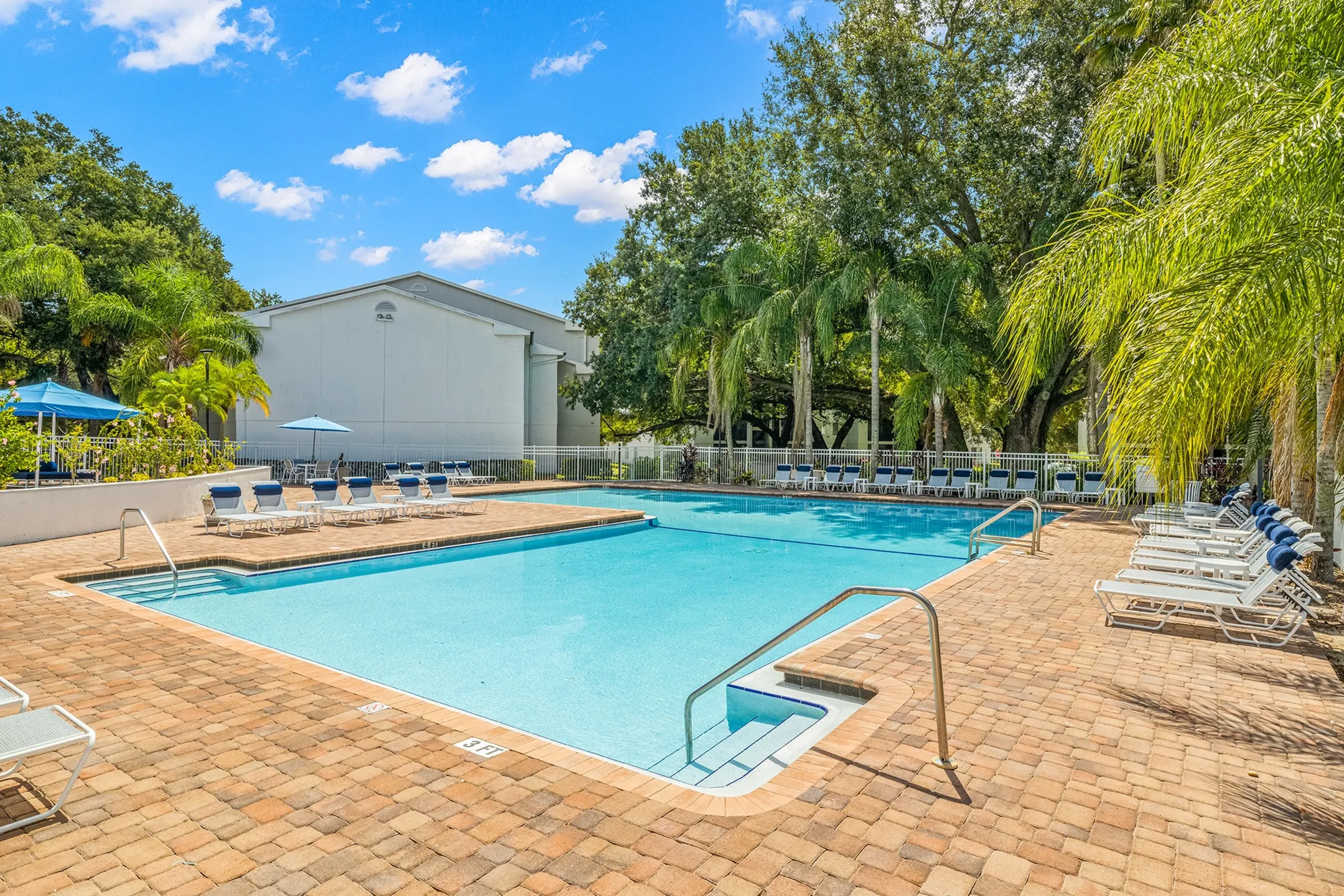 Skye Reserve Apartments - Brandon, FL 33511