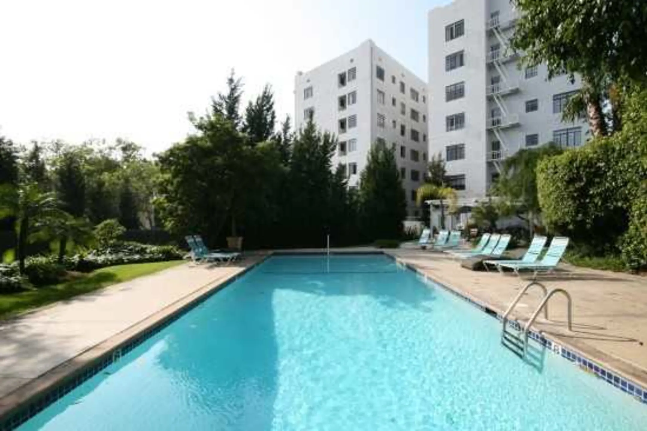 Pool - Mid-Wilshire Apartments - Los Angeles, CA
