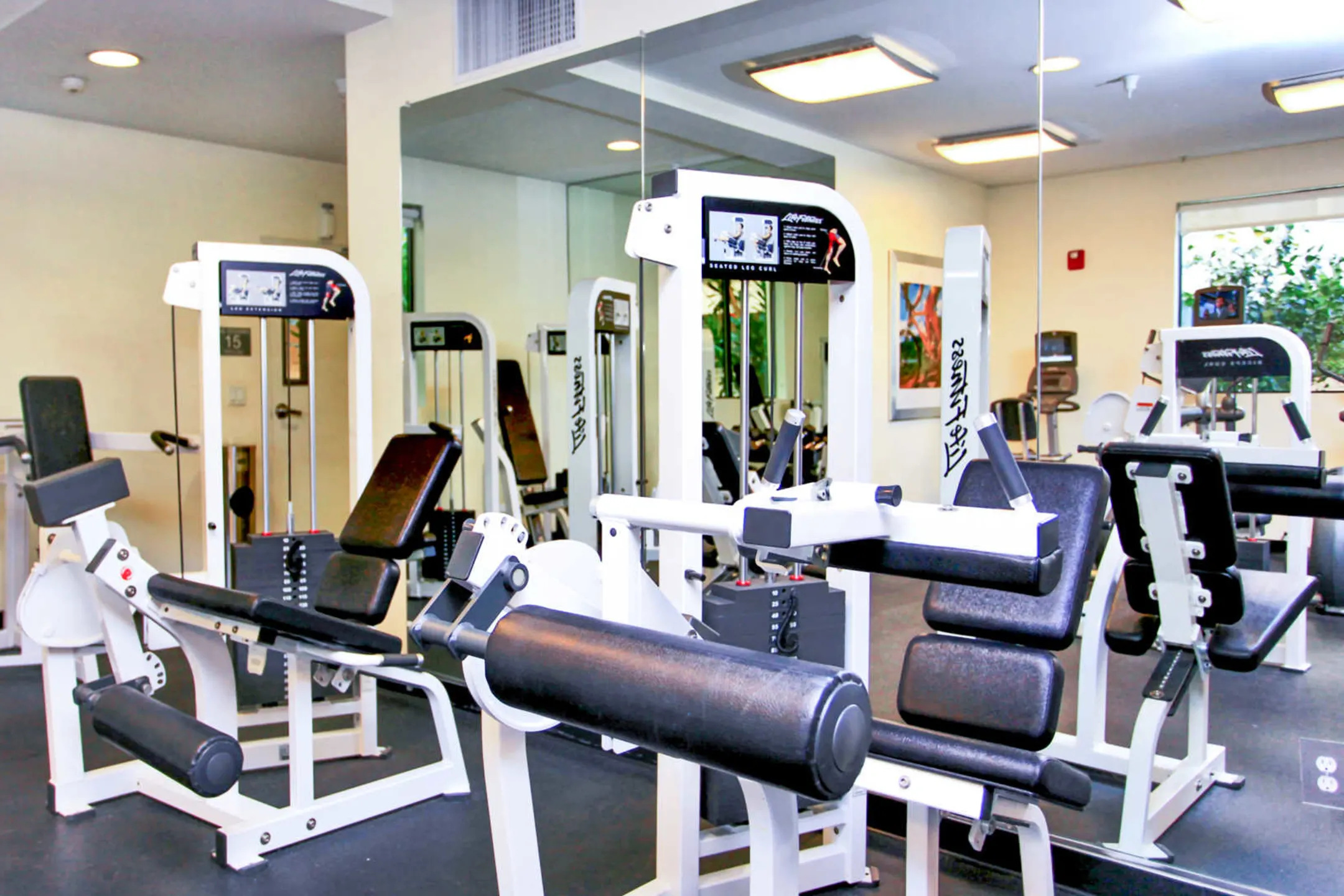 Fitness Weight Room - Hikari - Los Angeles, CA