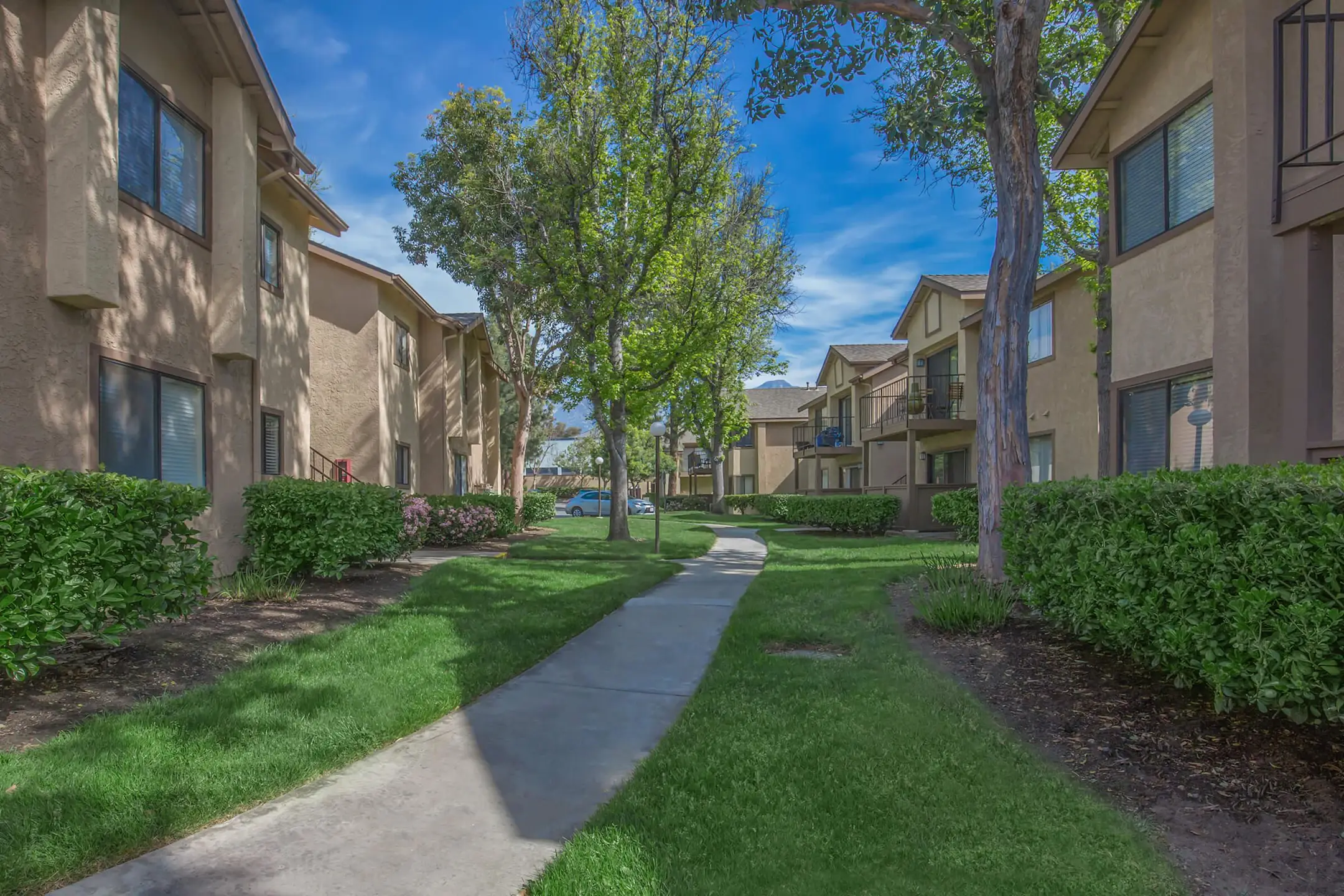 Building - Mountain Springs Apartment Homes - Upland, CA