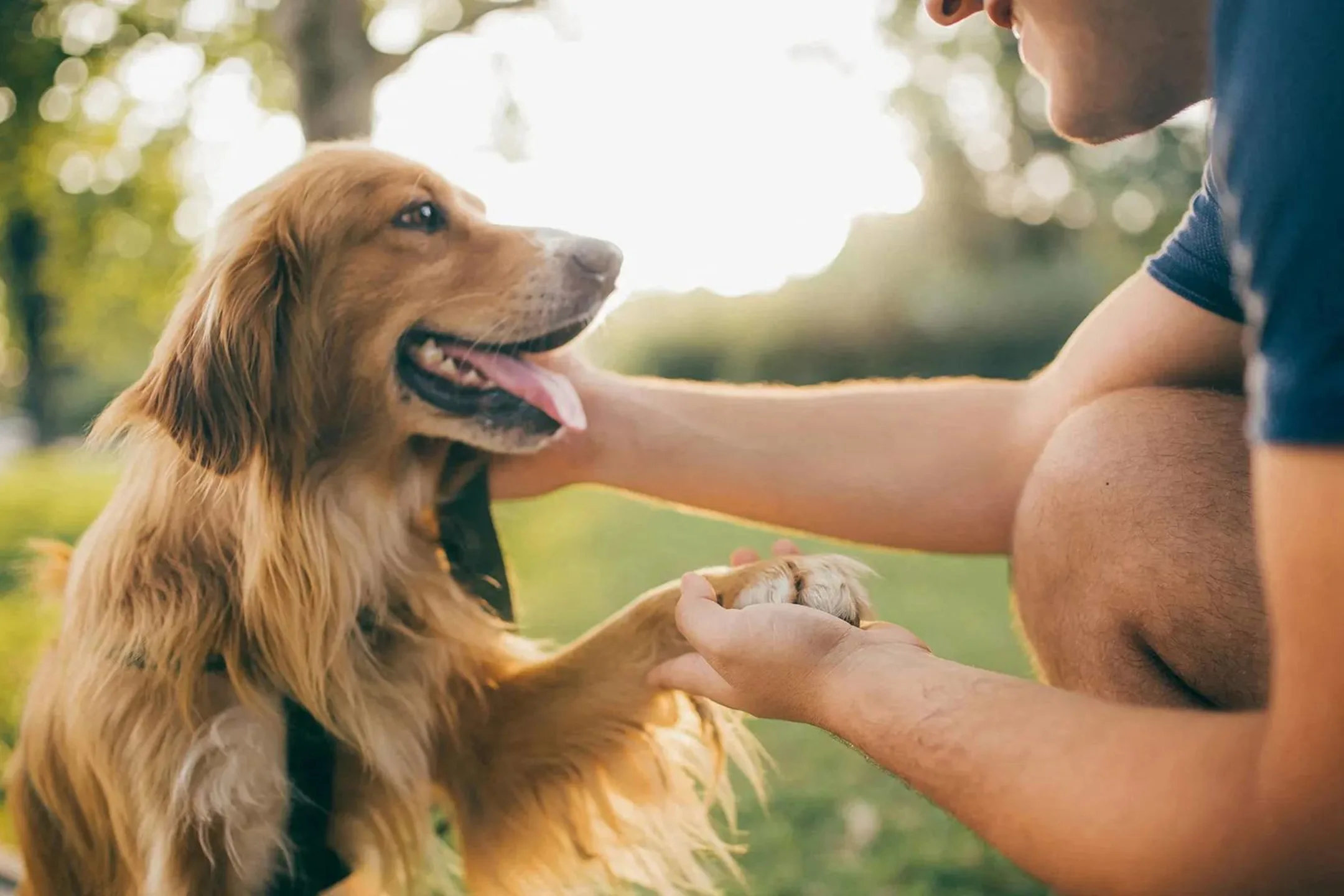 Grand Gateway Apartments Apartments Saint Cloud, MN 56301