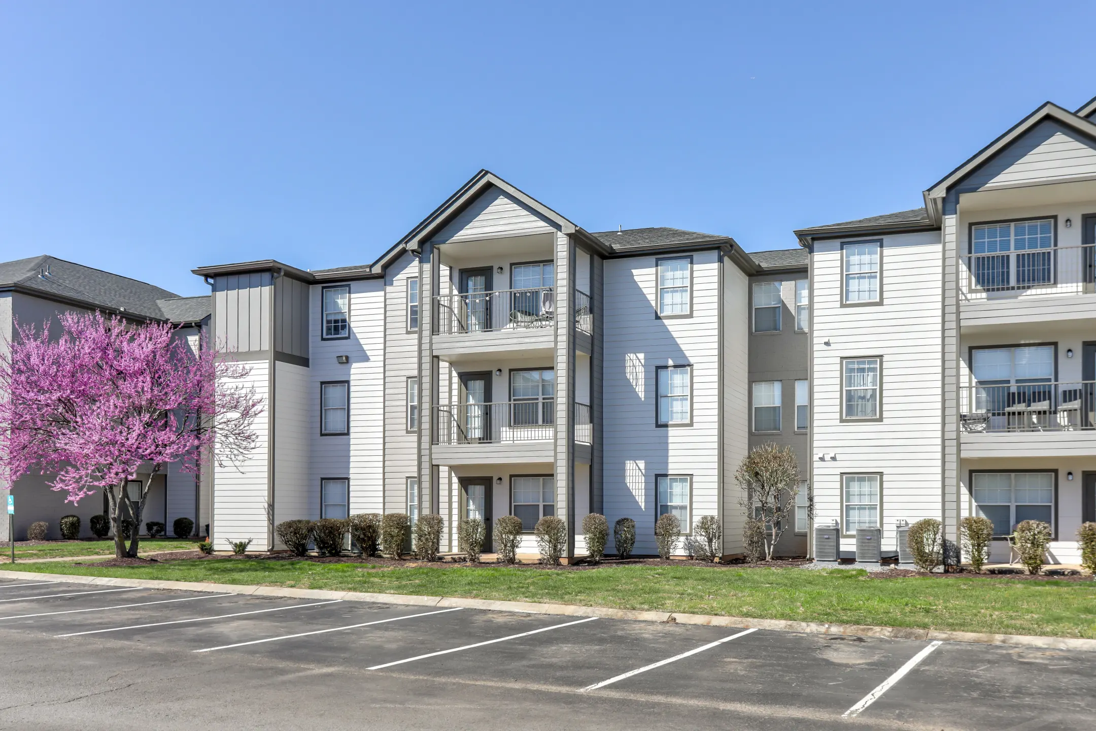 One Bedroom Apartments In Murfreesboro Tennessee