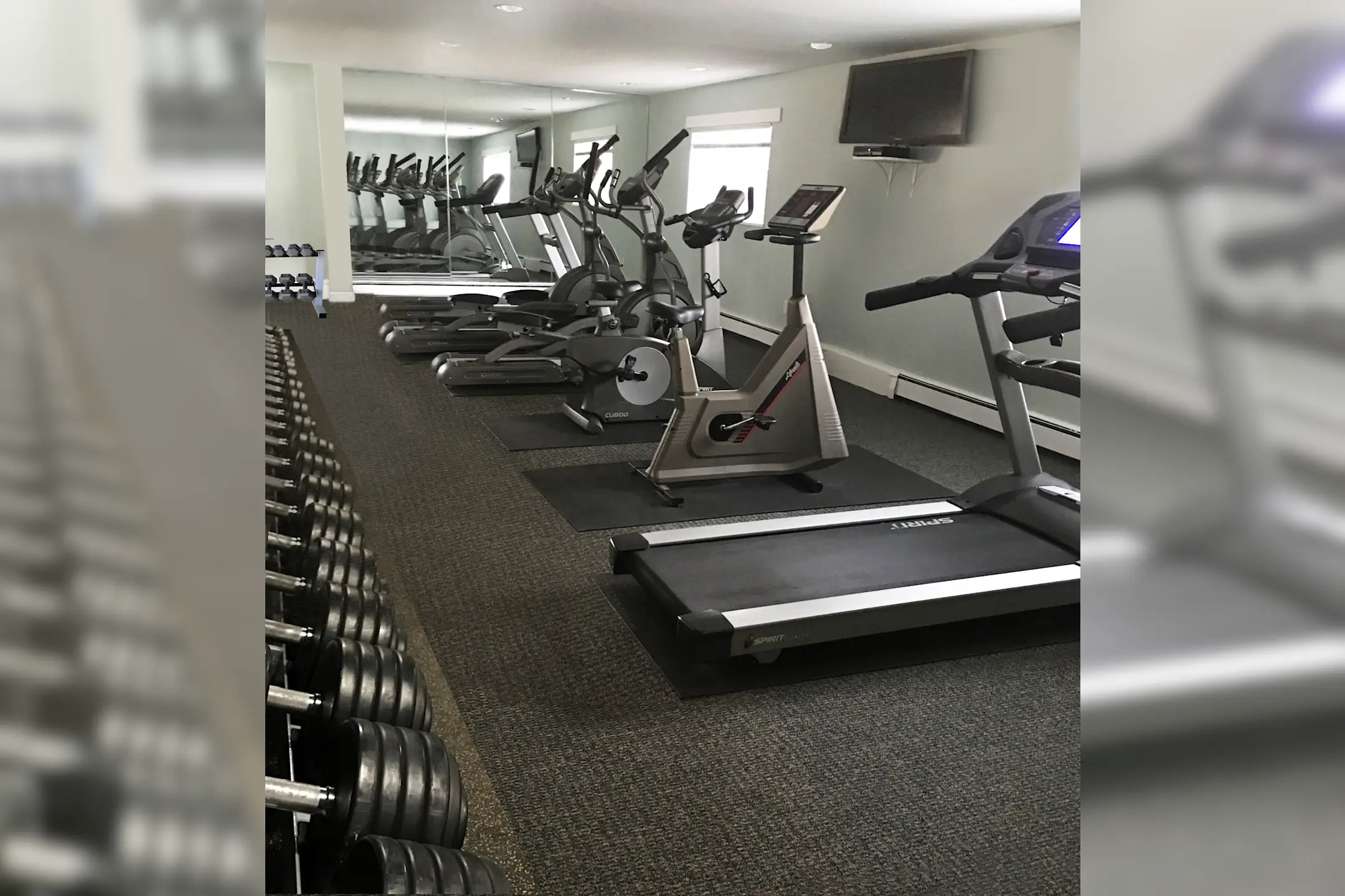 Sutton Apartments Apartments Worcester, MA 01606