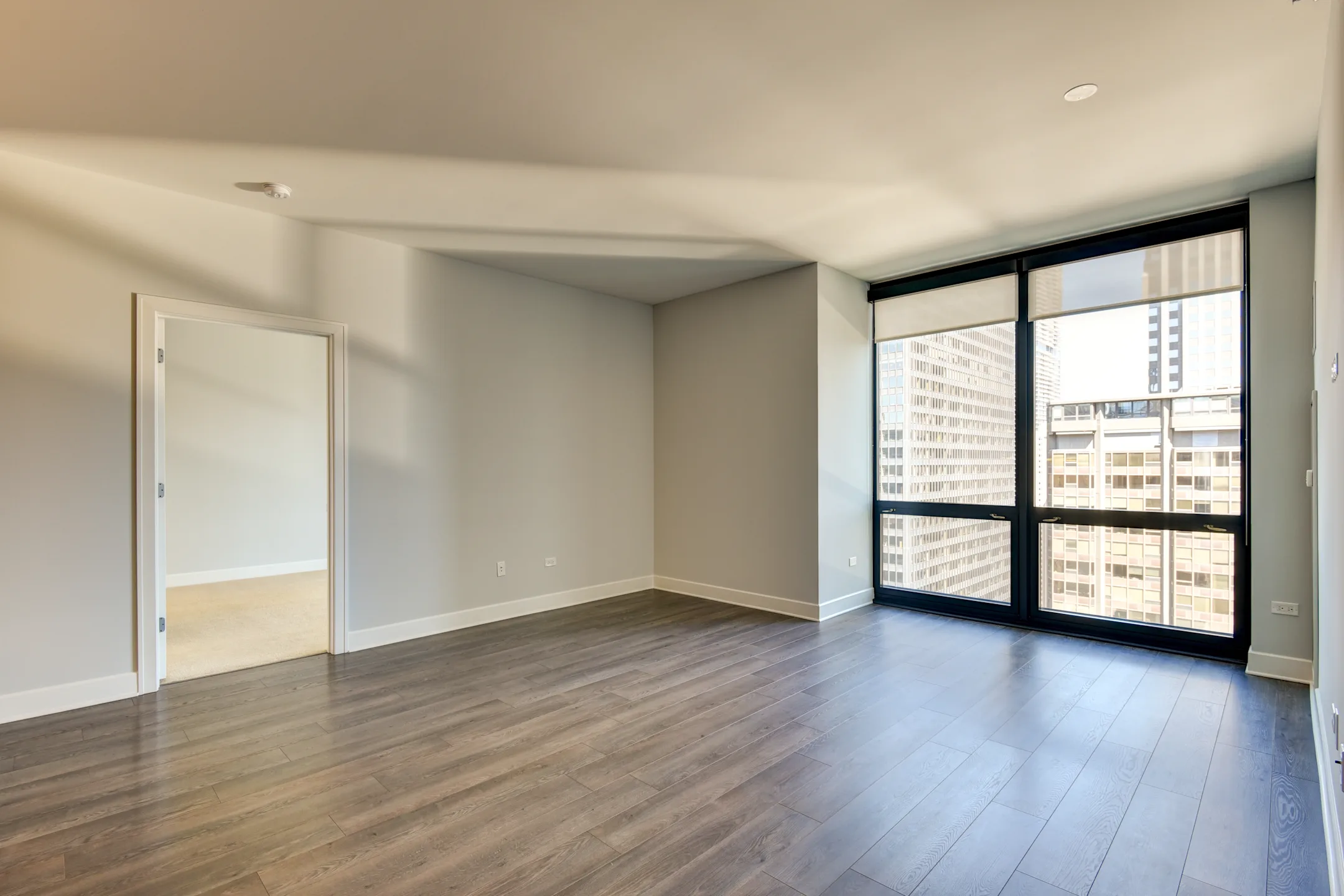 Living Room - 73 East Lake - Chicago, IL
