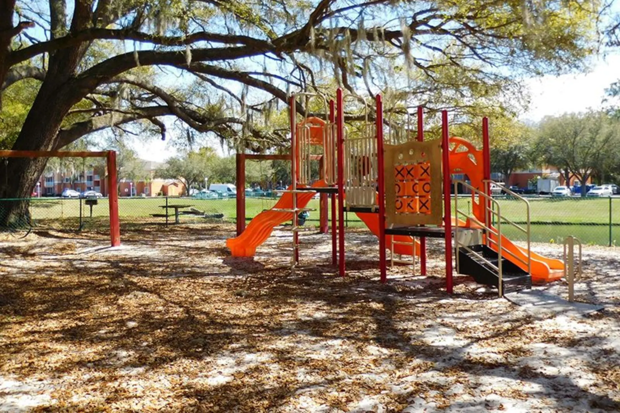 Playground - The Landings At Cypress Meadows - Tampa, FL