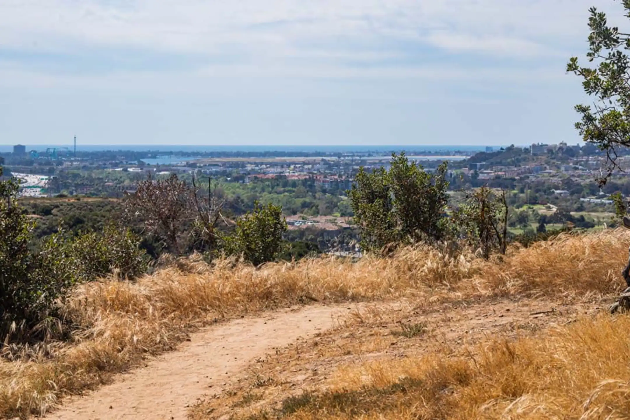 Recreation Area - Camden Hillcrest - San Diego, CA