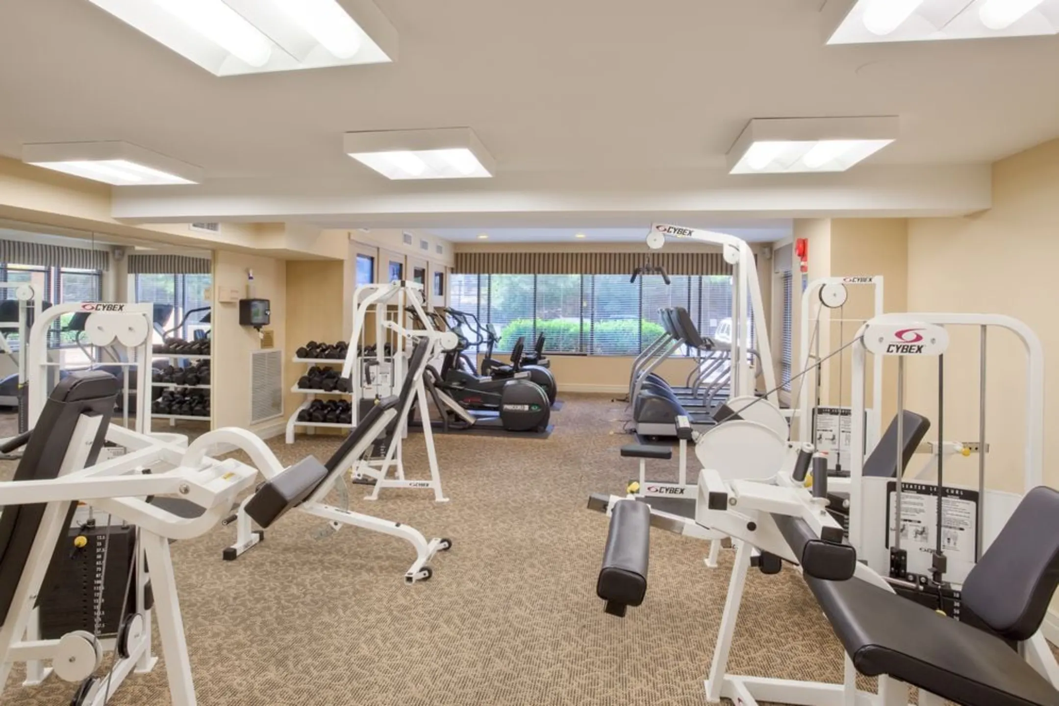 Fitness Weight Room - Avalon at Foxhall - Washington, DC