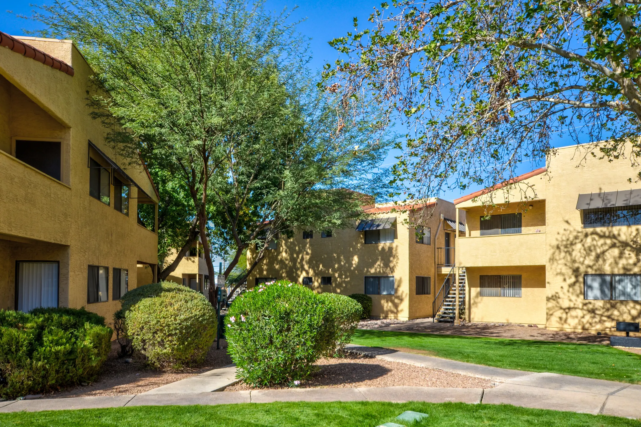 Wildflower Apartments Tucson