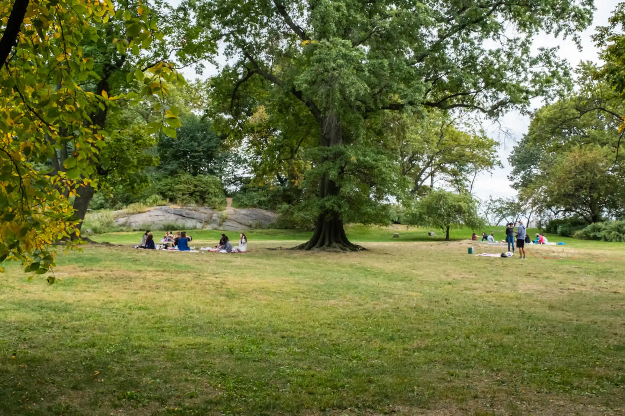 Parc Cameron Apartments New York, NY 10024