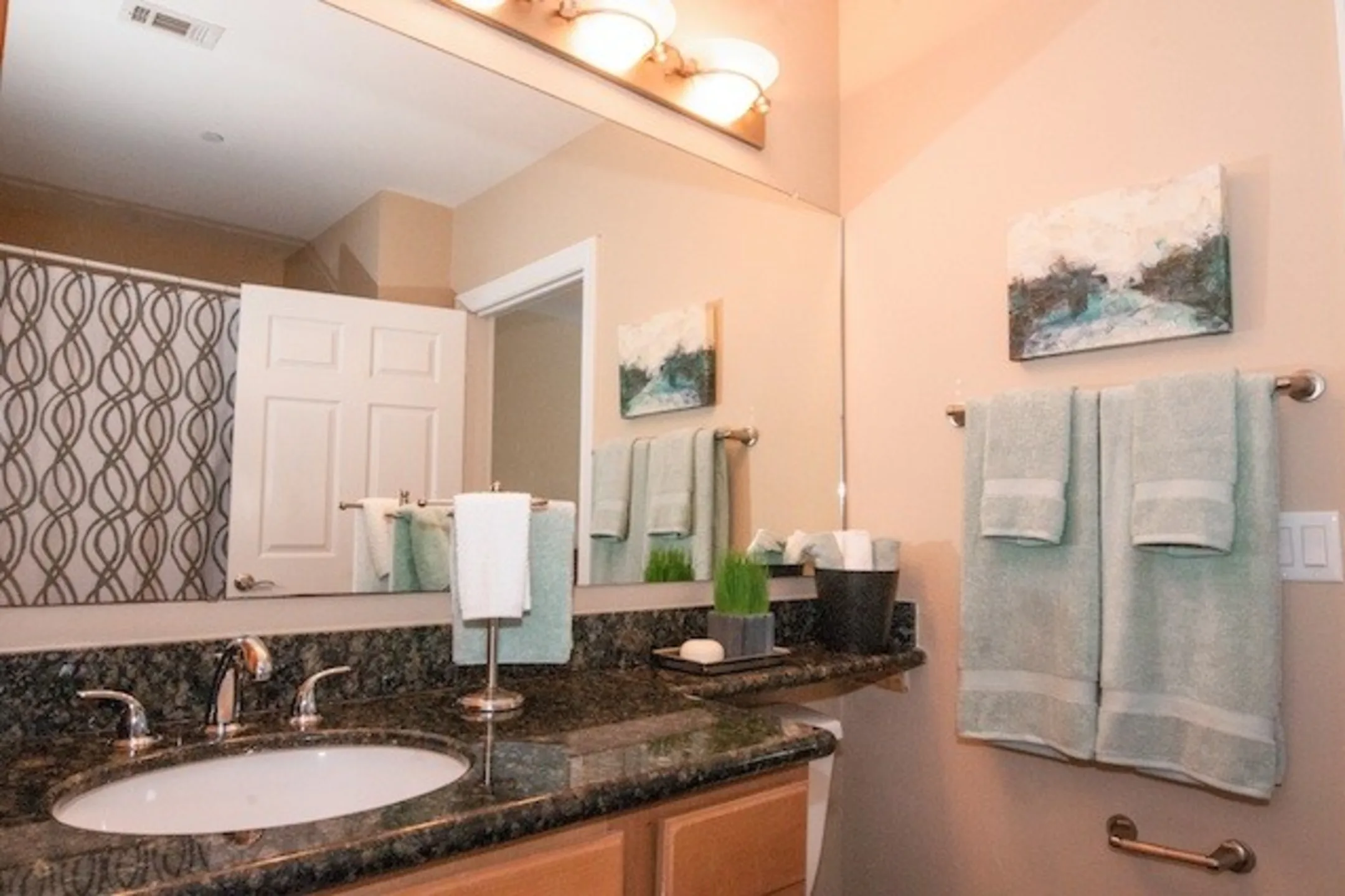 Bathroom - Southgate Towers - Baton Rouge, LA