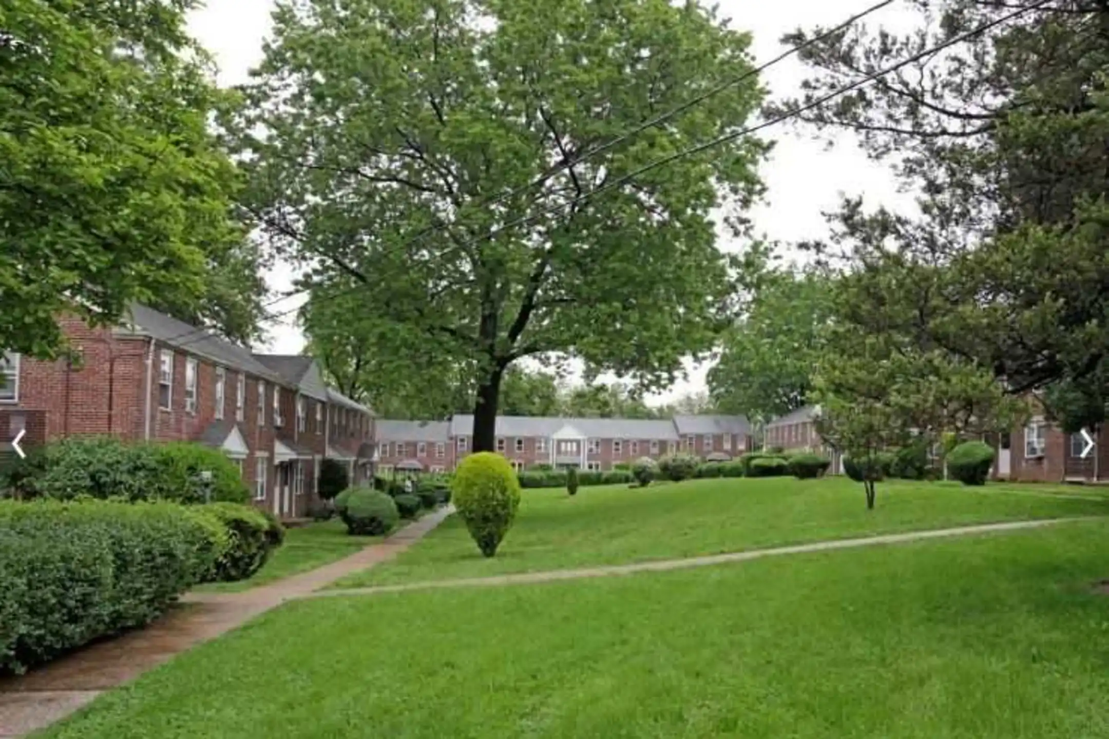 Hollywood Terrace - Linden, NJ