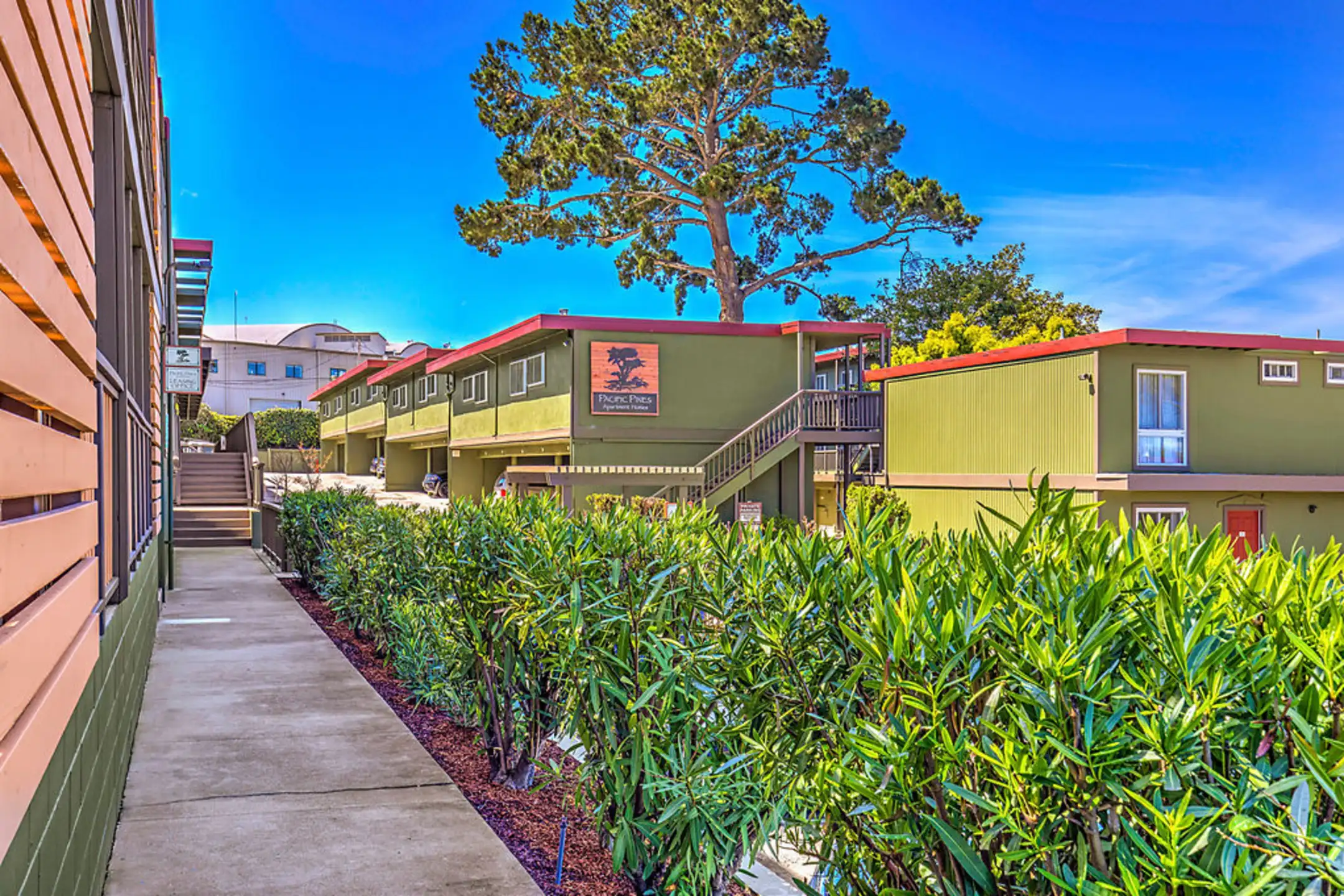 Pacific Pines Apartments 930 Casanova Ave Monterey, CA Apartments