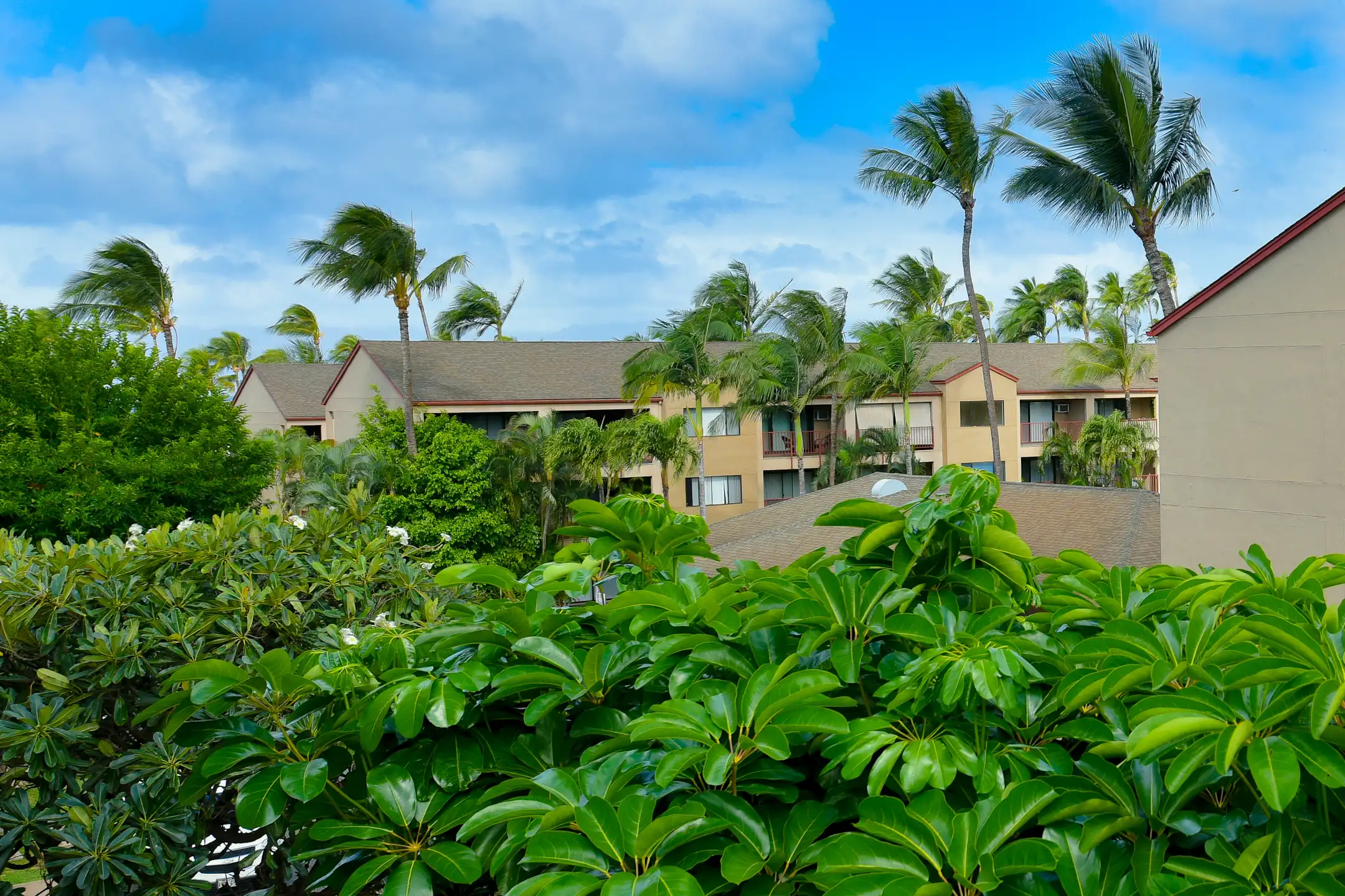 Sunset Terrace Apartments 3626 Lower Honoapiilani Rd Lahaina, HI