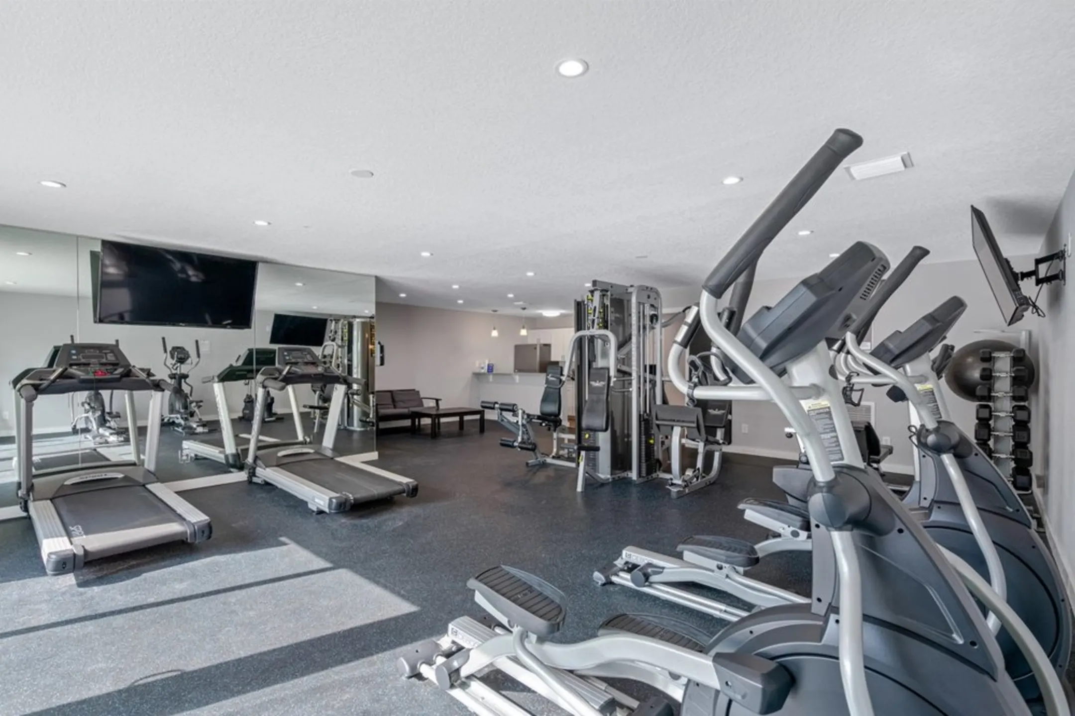 Fitness Weight Room - Puritan Place Apartments - Tampa, FL