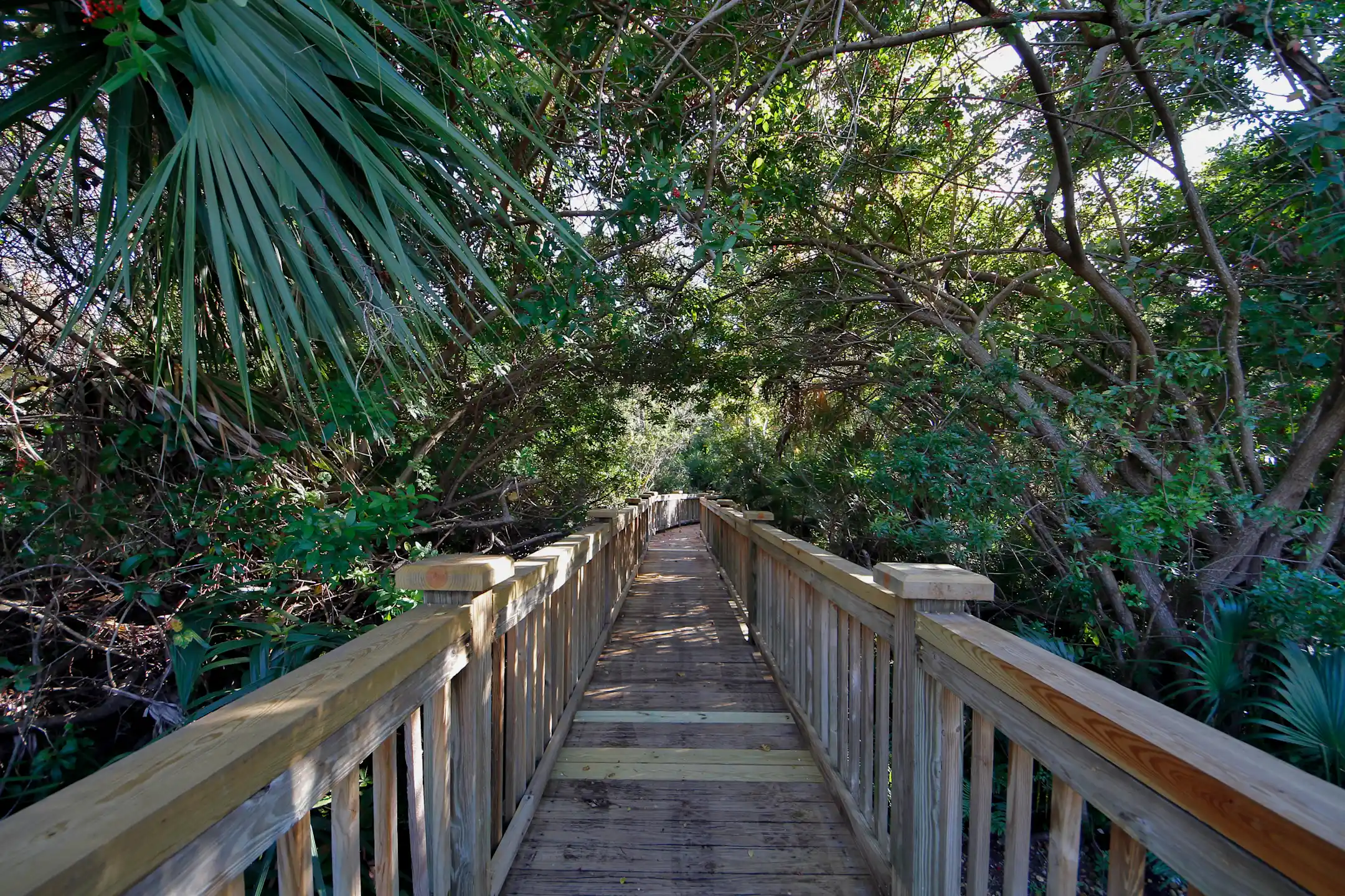 Tuscany Apartments In Melbourne Fl