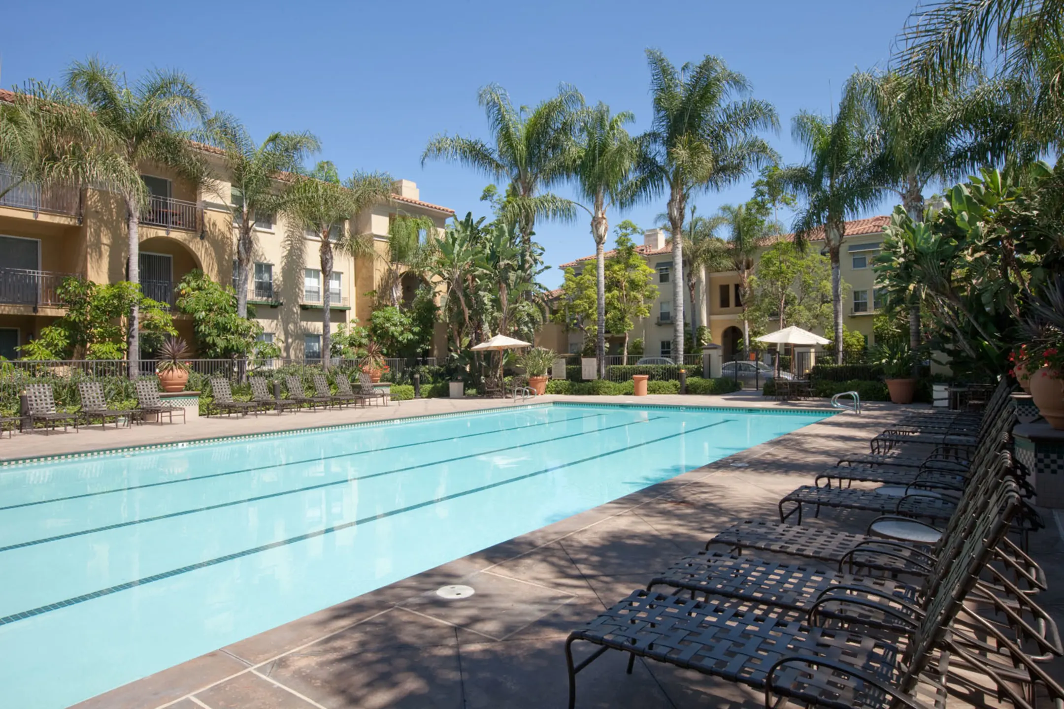 Pool - Villa Coronado - Irvine, CA