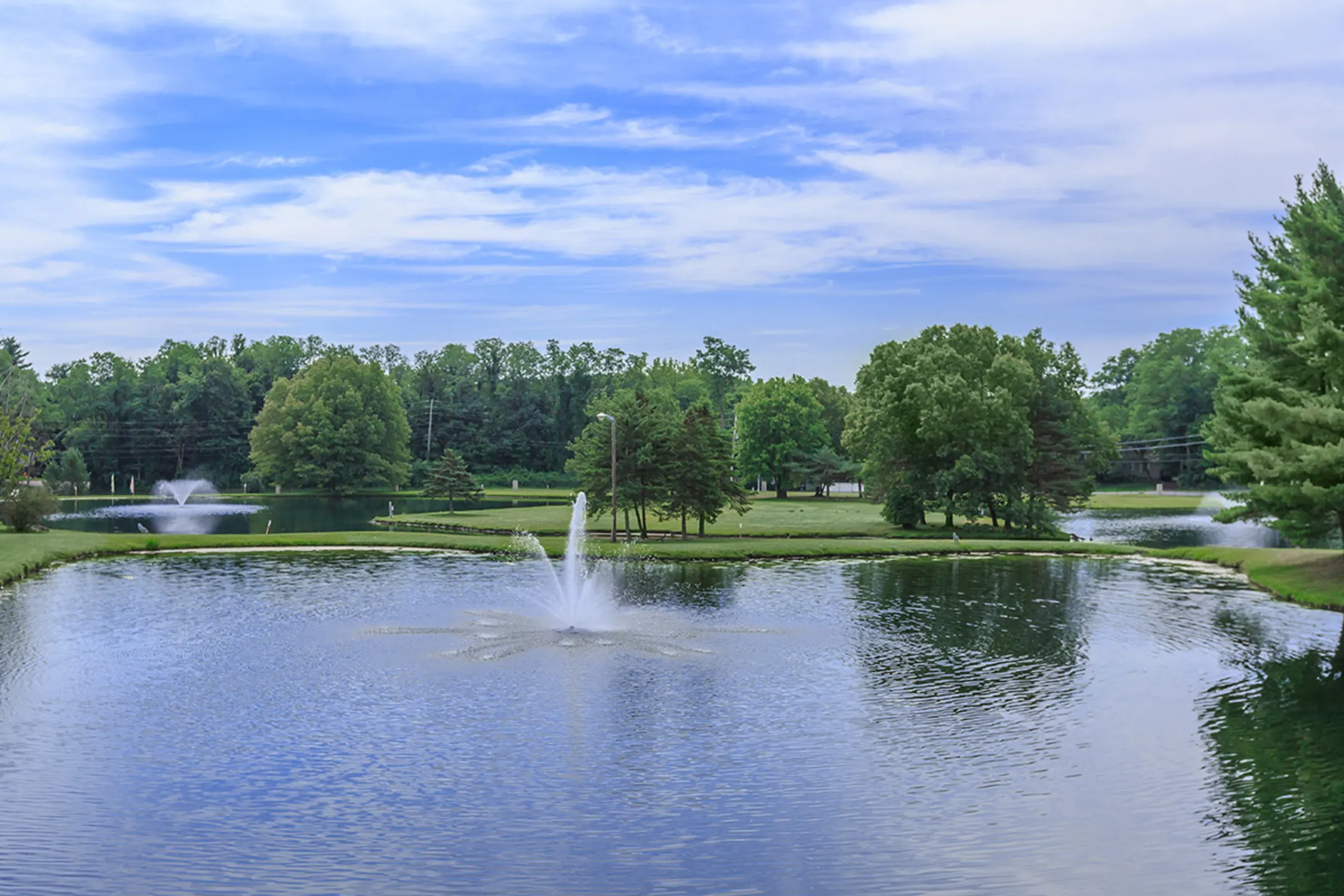 2. Elevate Every Occasion: Premier Flower Delivery In Clifton Park, NY