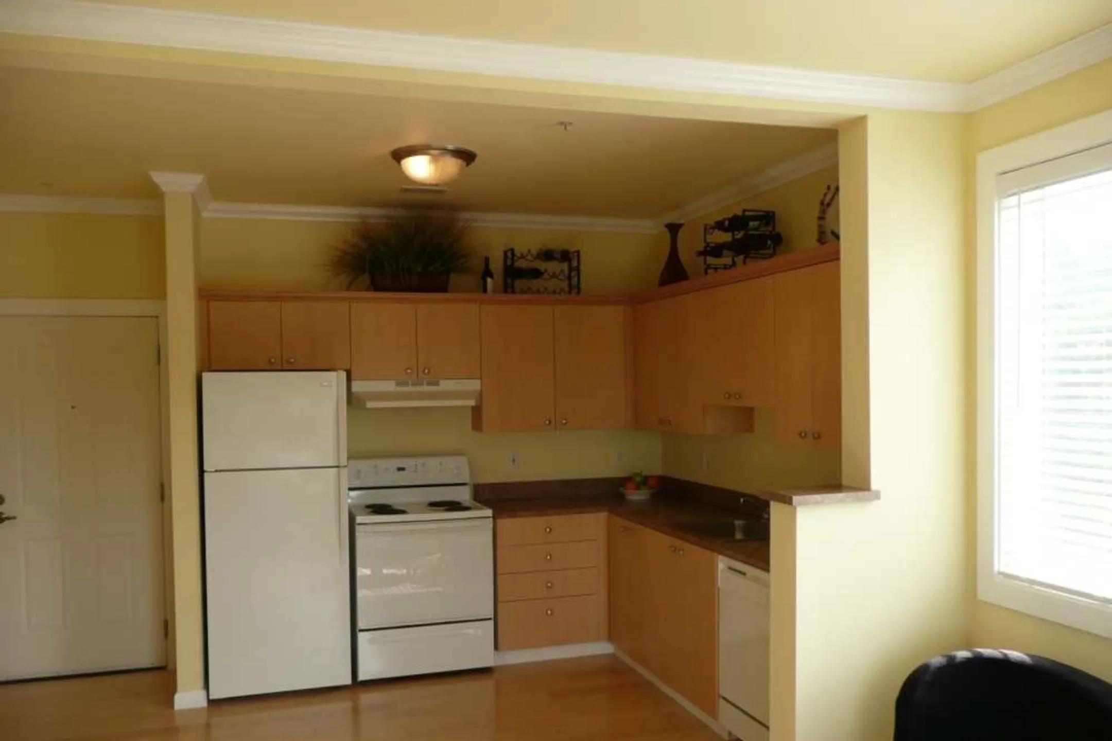 The Oasis Apartments - Tacoma, WA