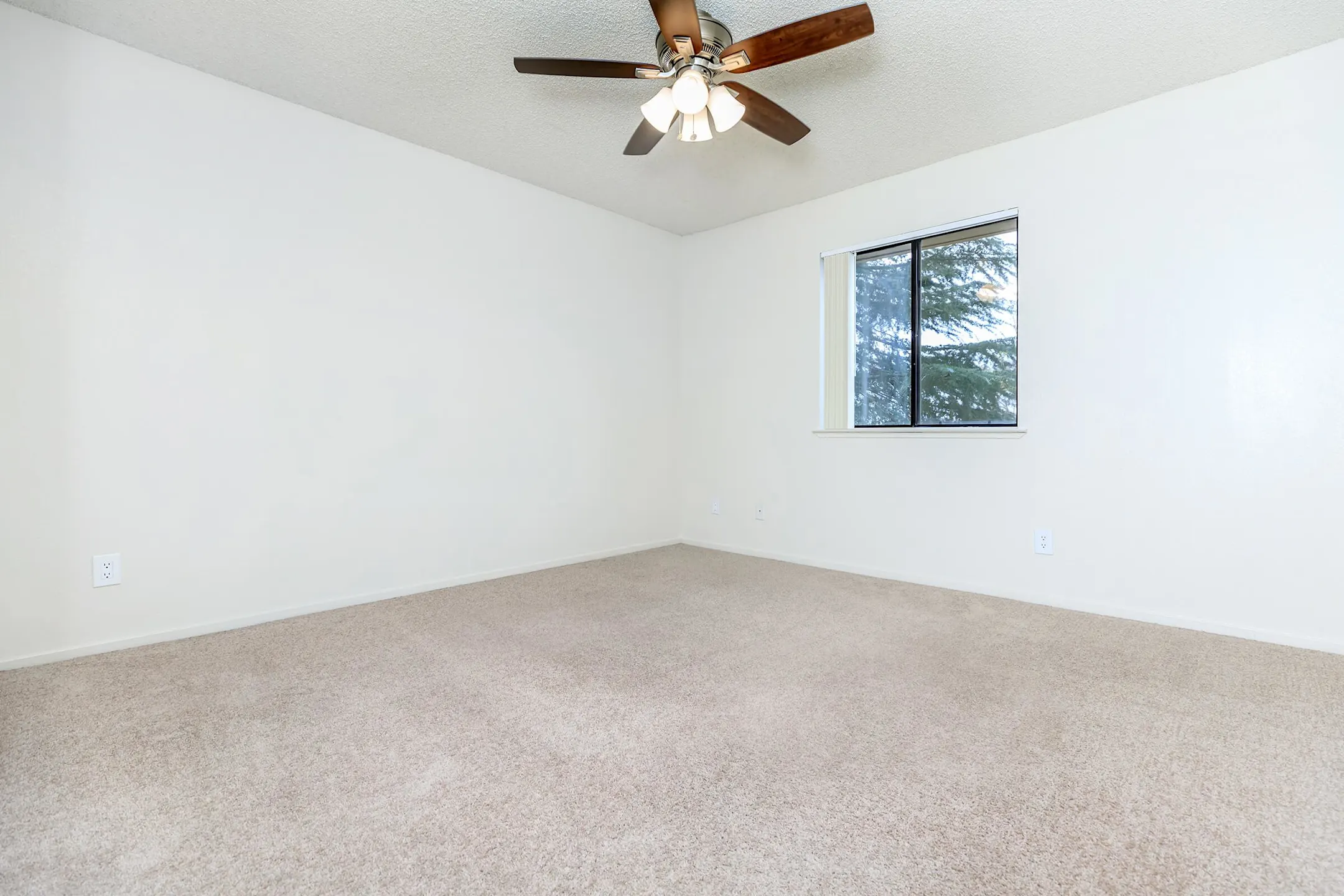 Pine Tree Village 6800 N Maple Ave Fresno, CA Apartments for Rent
