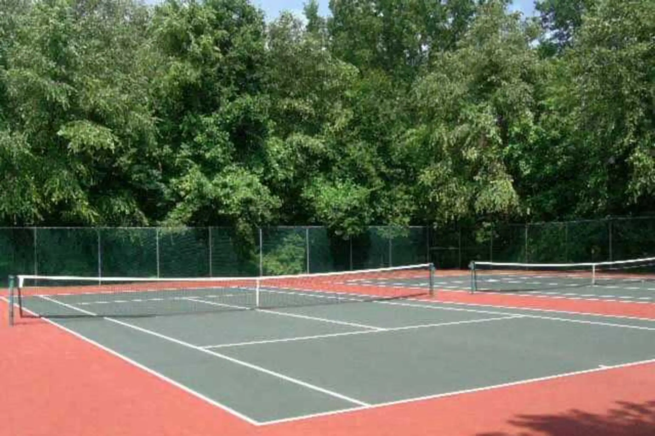 Recreation Area - Roper Mountain Woods - Greenville, SC