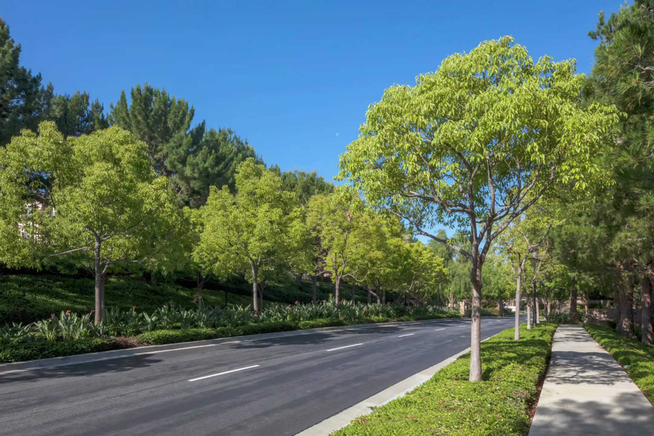 Turtle Ridge 100 Turtle Crest Dr Irvine, CA Apartments for Rent Rent.