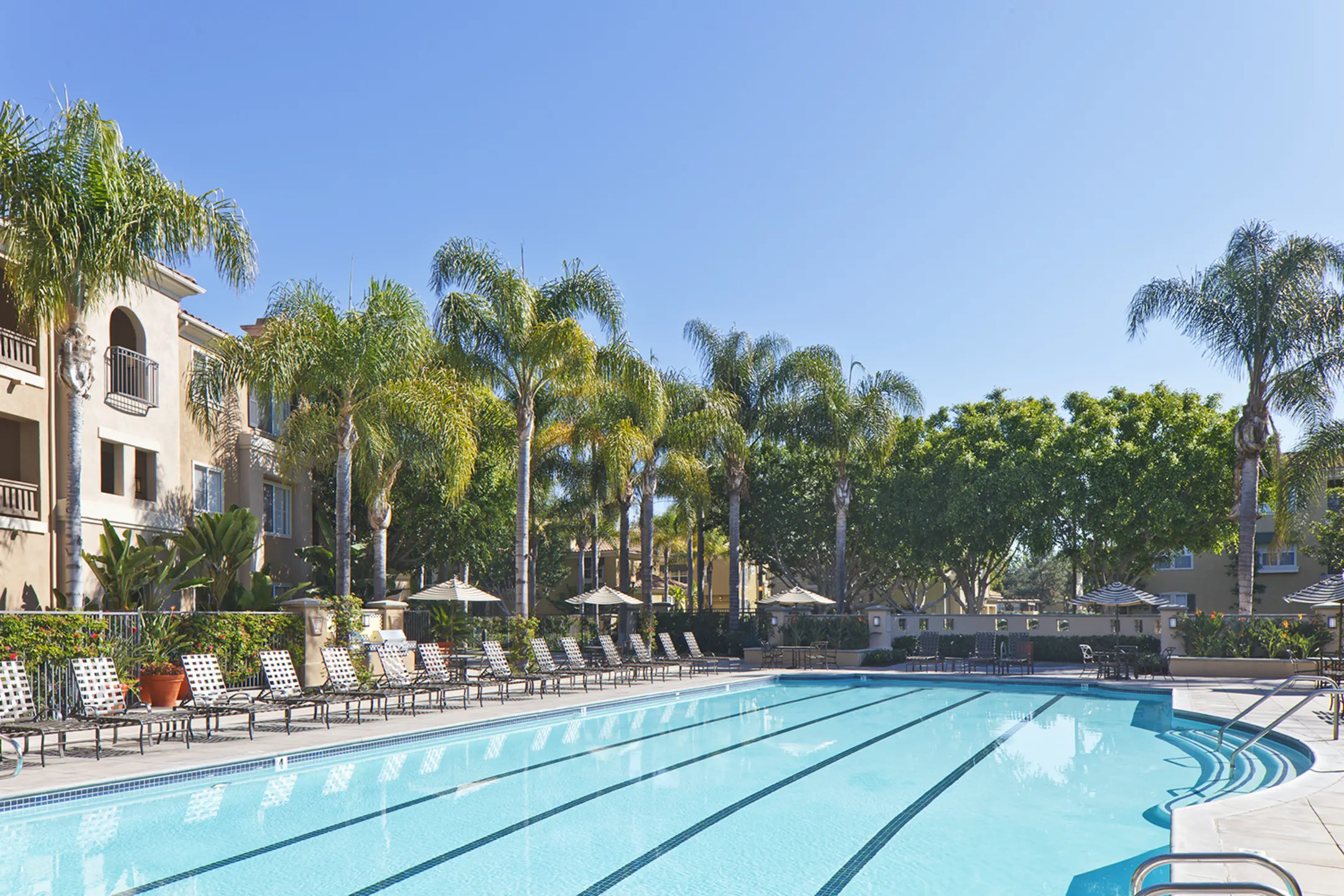 Pool - Santa Clara - Irvine, CA