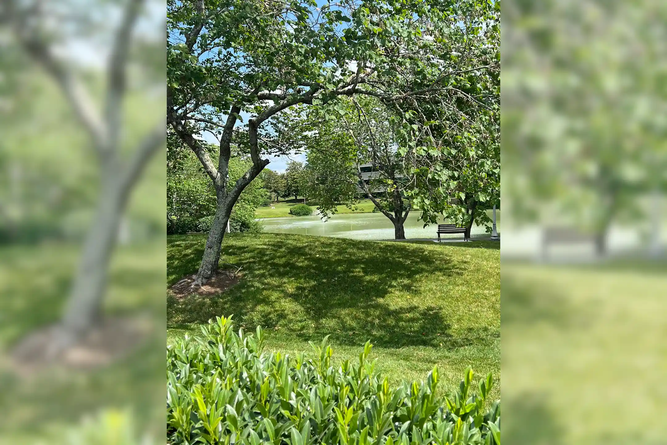 Bristol Park of Oak Ridge 790 Emory Valley Rd Oak Ridge, TN