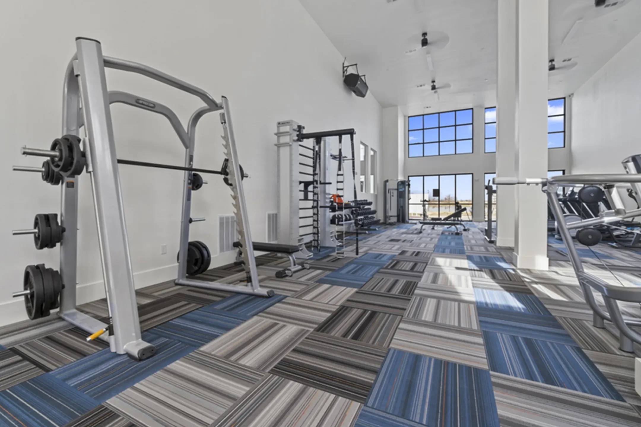 Fitness Weight Room - The Towers at Mercer Crossing - Farmers Branch, TX