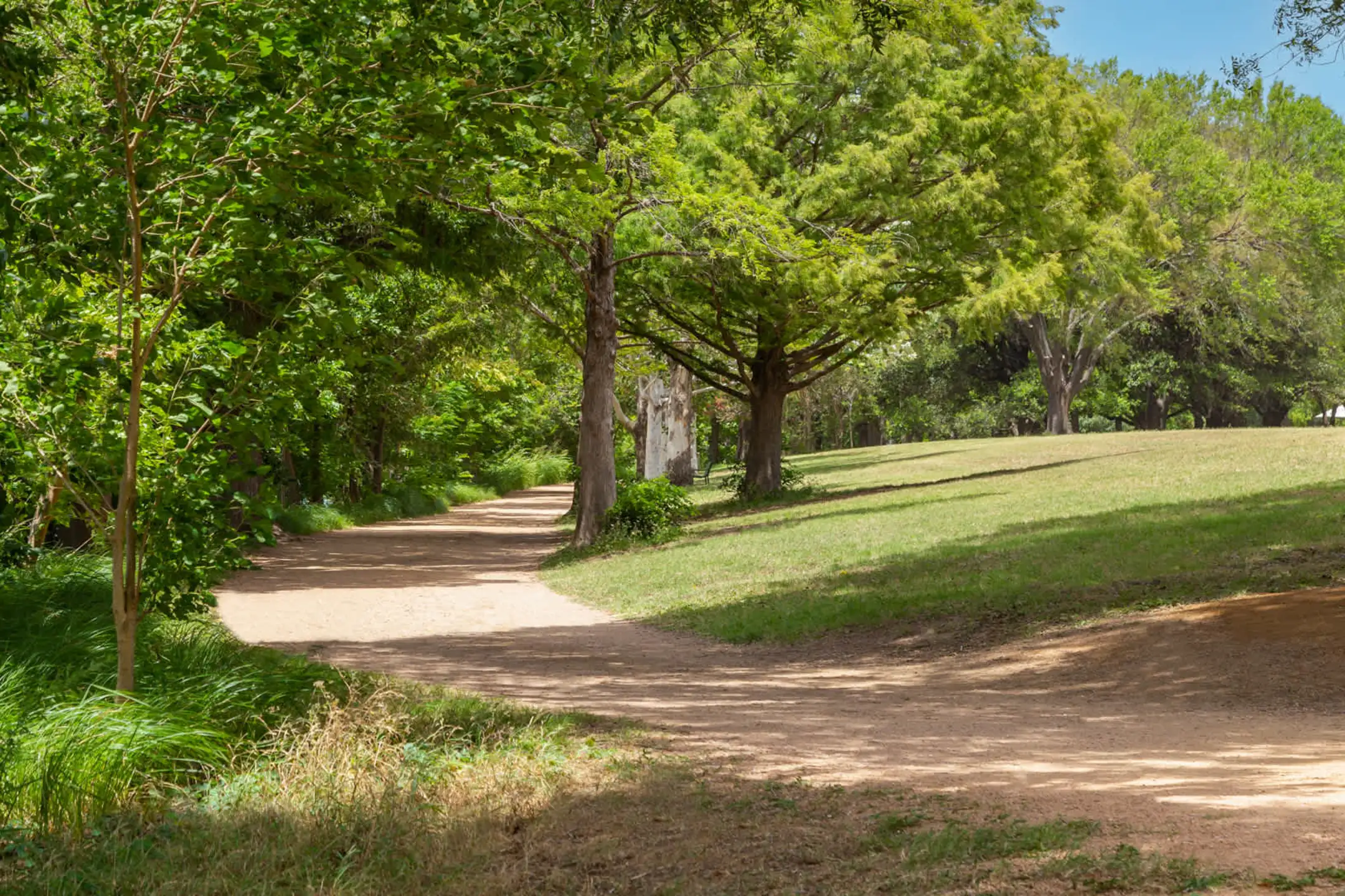 The Weaver Apartments Austin, TX 78702