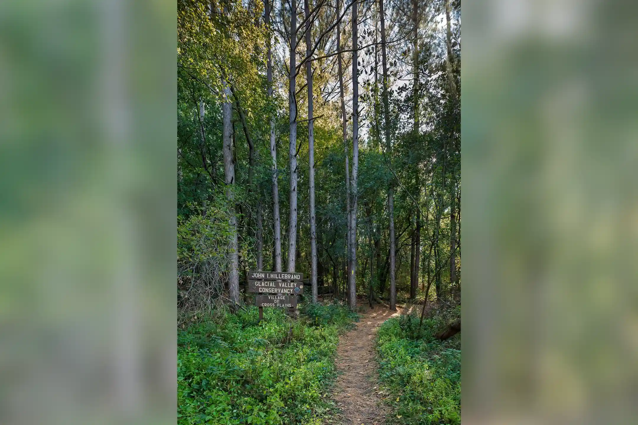 Mill Creek Apartments Cross Plains, WI 53528