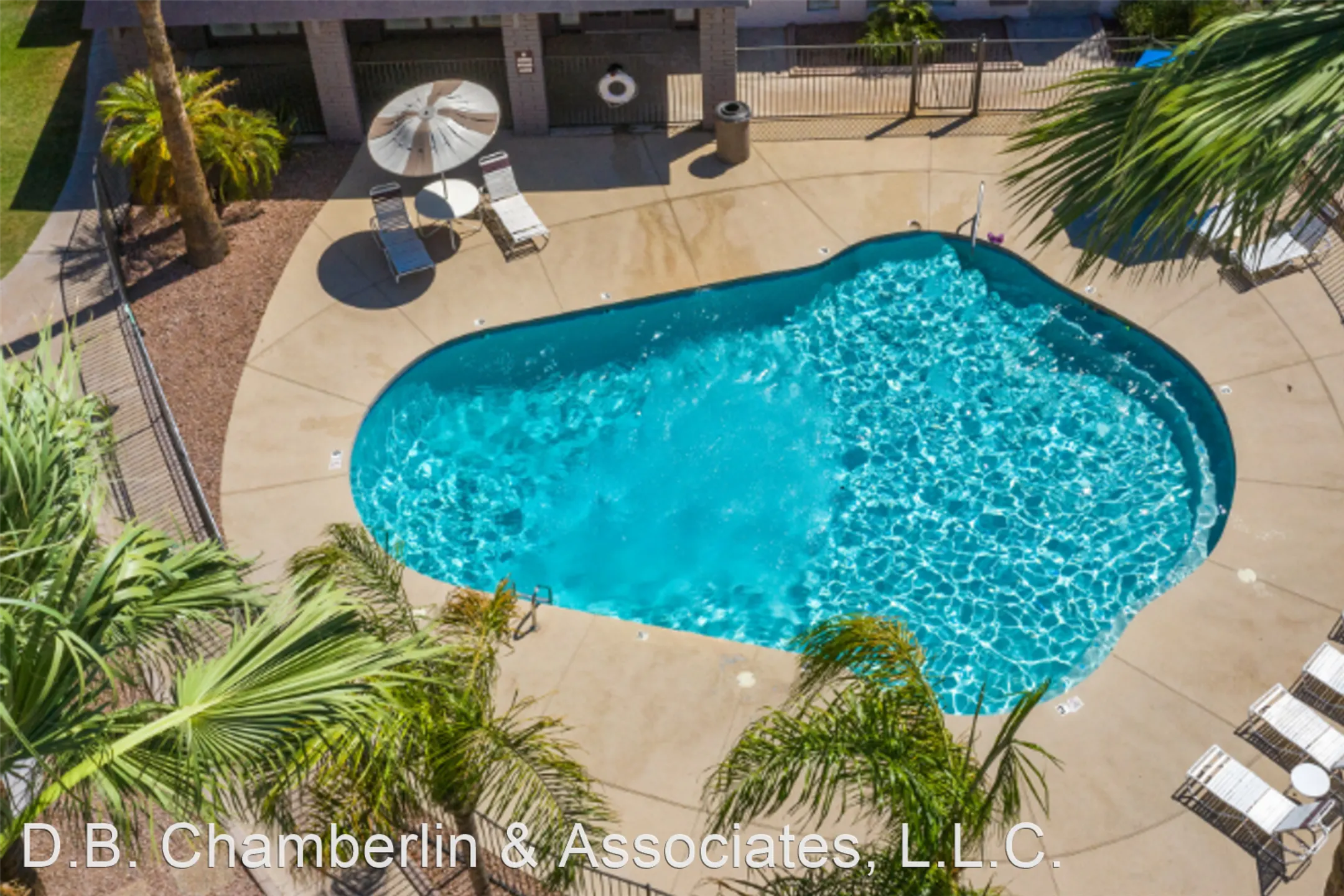 Pool - Vesta on 12th - Phoenix, AZ
