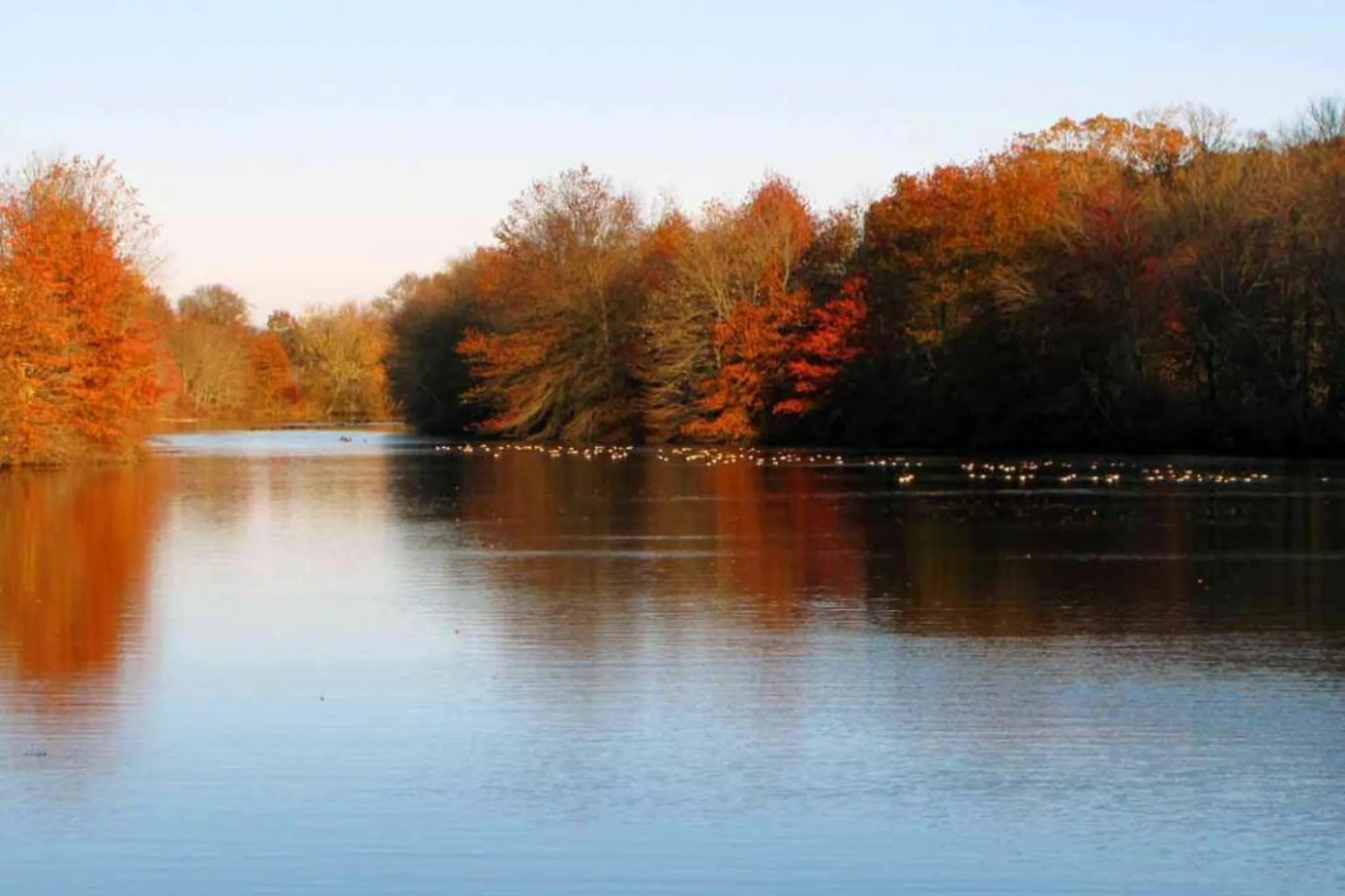 The Crossings at Plainsboro 60 Fox Run Dr Plainsboro, NJ Apartments