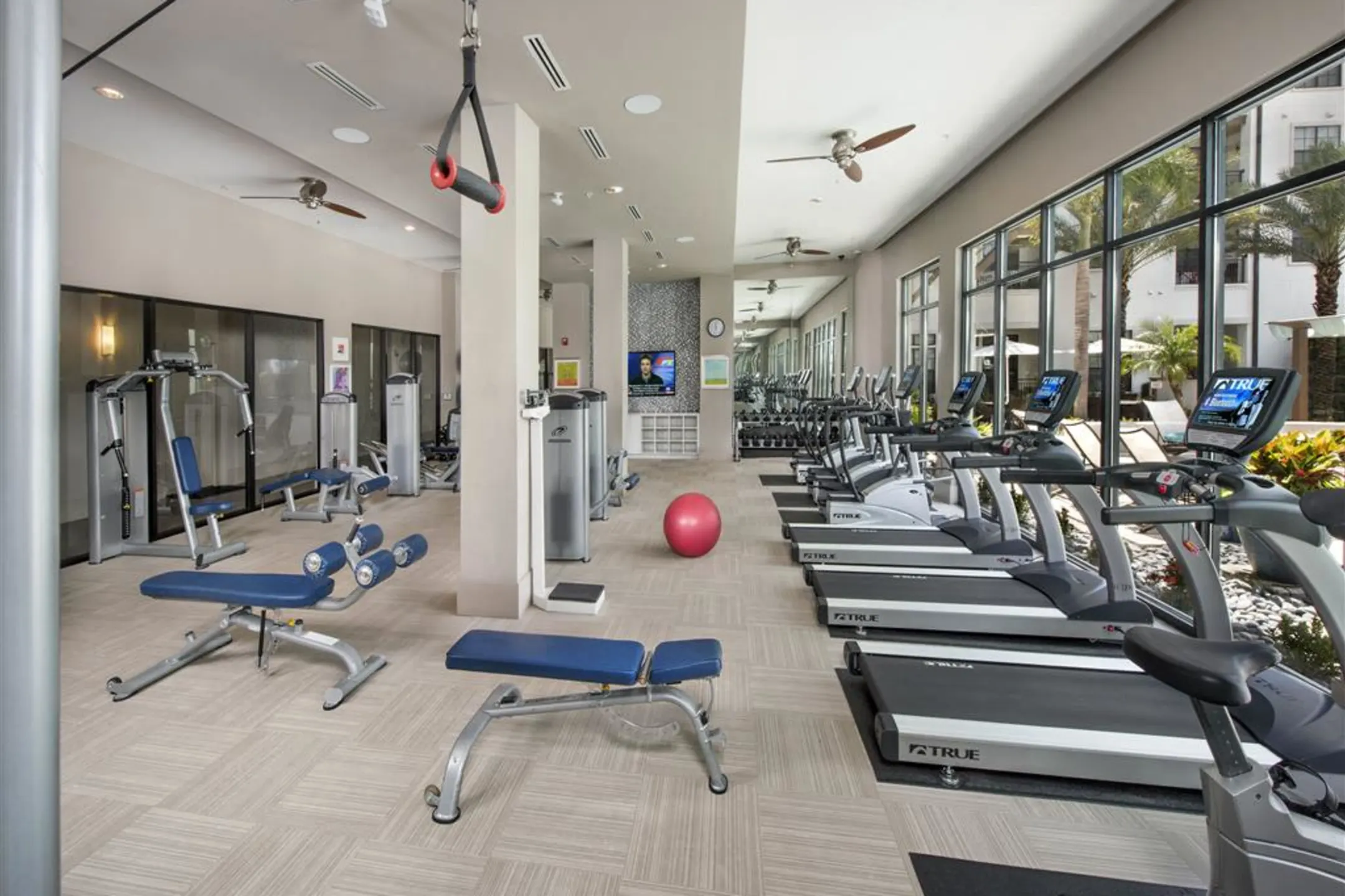 Fitness Weight Room - Azul Baldwin Park - Orlando, FL