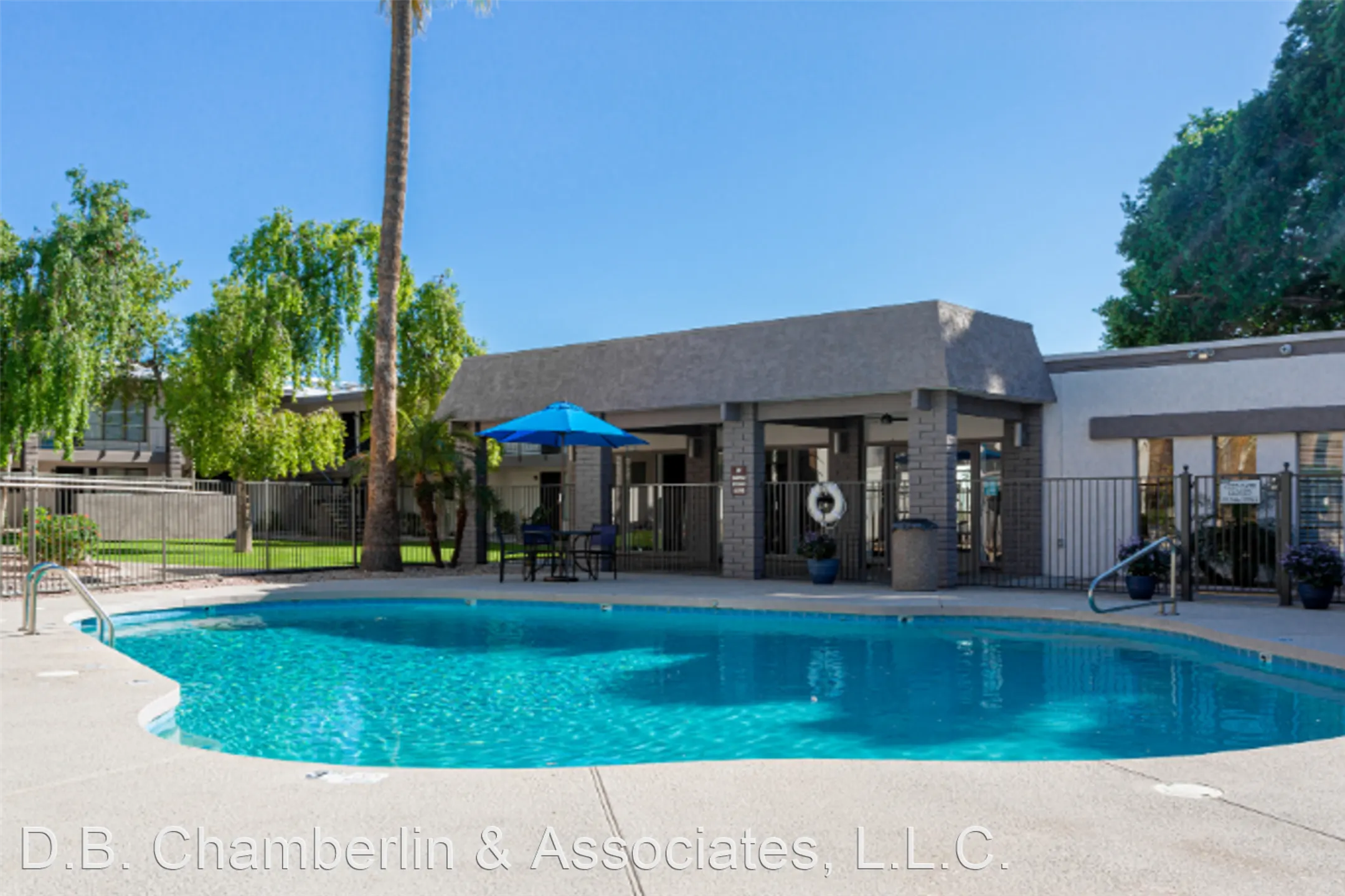 Pool - Vesta on 12th - Phoenix, AZ