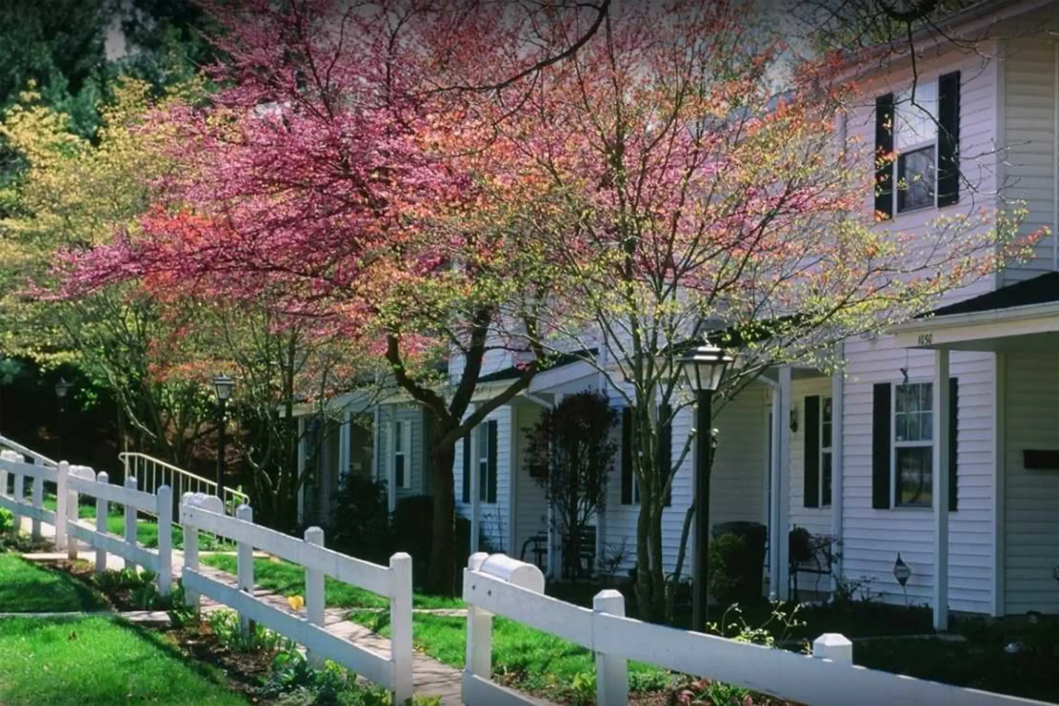 Building - Foxcroft Townhouses - Camp Hill, PA