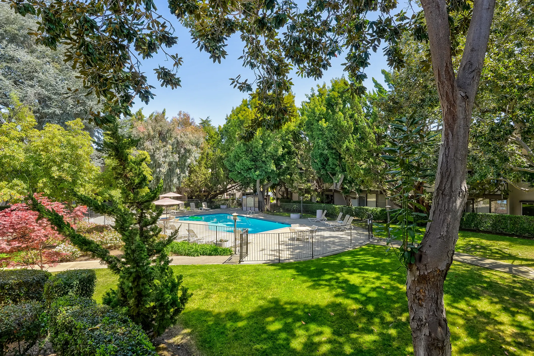 Pool - Parksquare Apartments - Palo Alto, CA